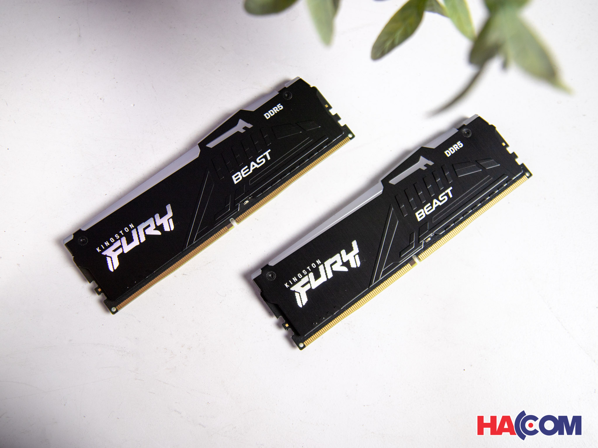 /66484_ram_desktop_kingston_fury_beast_rgb_kf556c40bbak2_32_32gb_2x16gb_ddr5_5600mhz_at__2_.jfif 4