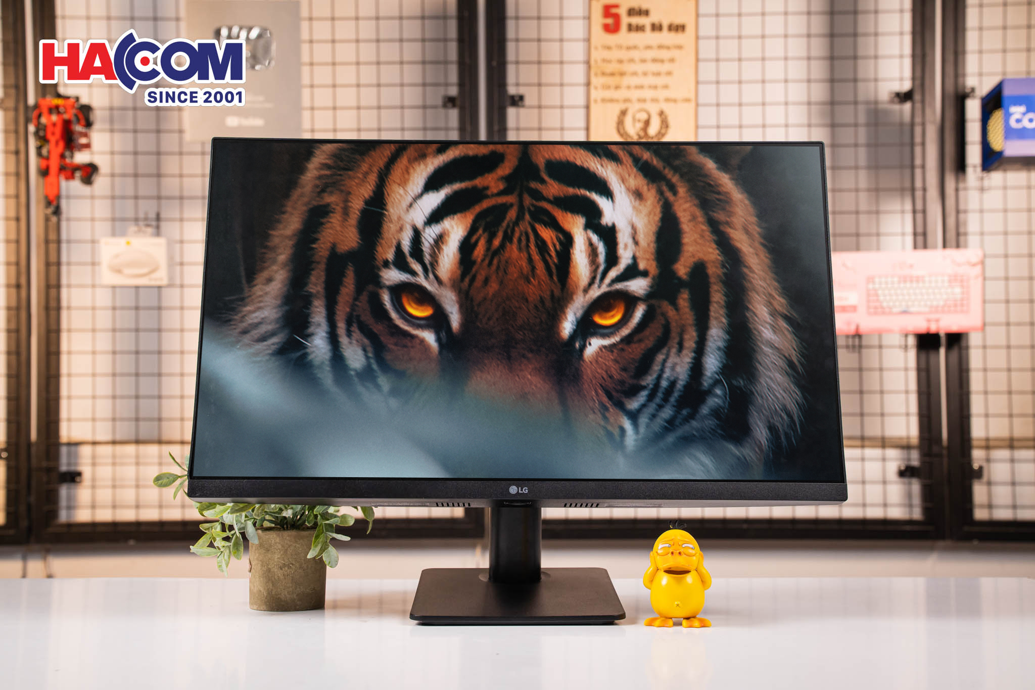 Màn hình LG 24MS570B  6