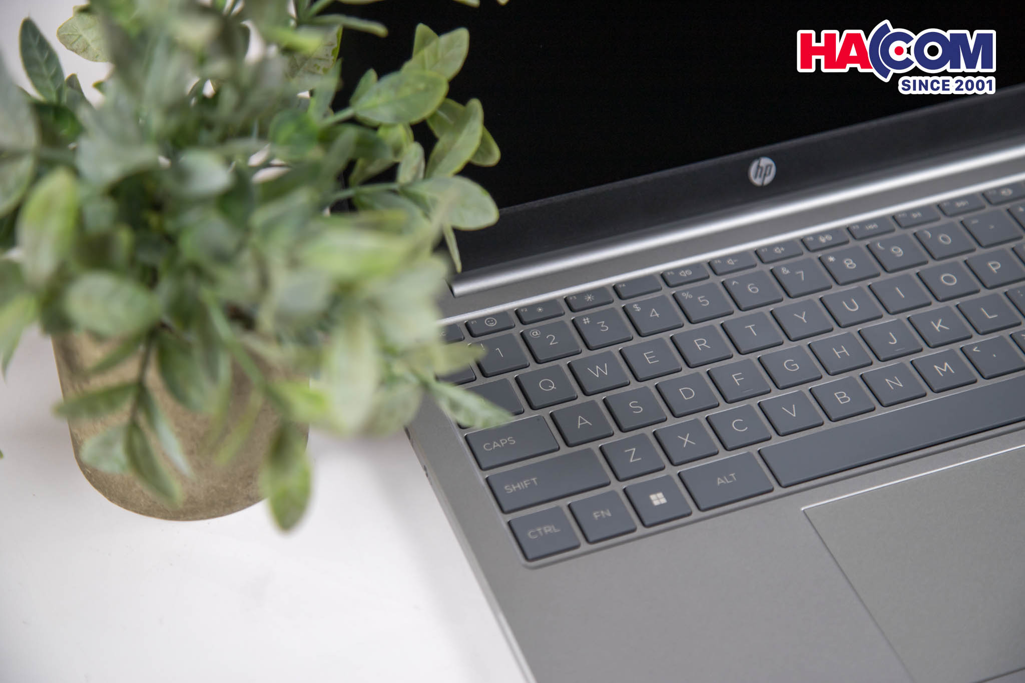 Laptop HP 14-ep0112TU (8C5L1PA) (i5 1335U/16GB RAM/512GB SSD/14 FHD/Win11/Bạc) 7