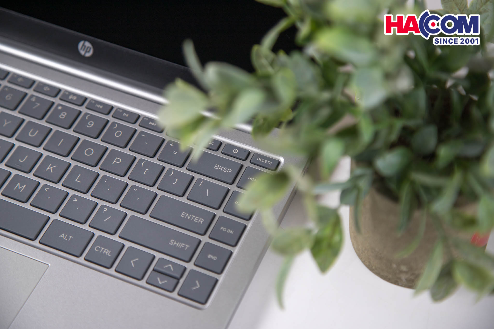 Laptop HP 14-ep0112TU (8C5L1PA) (i5 1335U/16GB RAM/512GB SSD/14 FHD/Win11/Bạc) 8