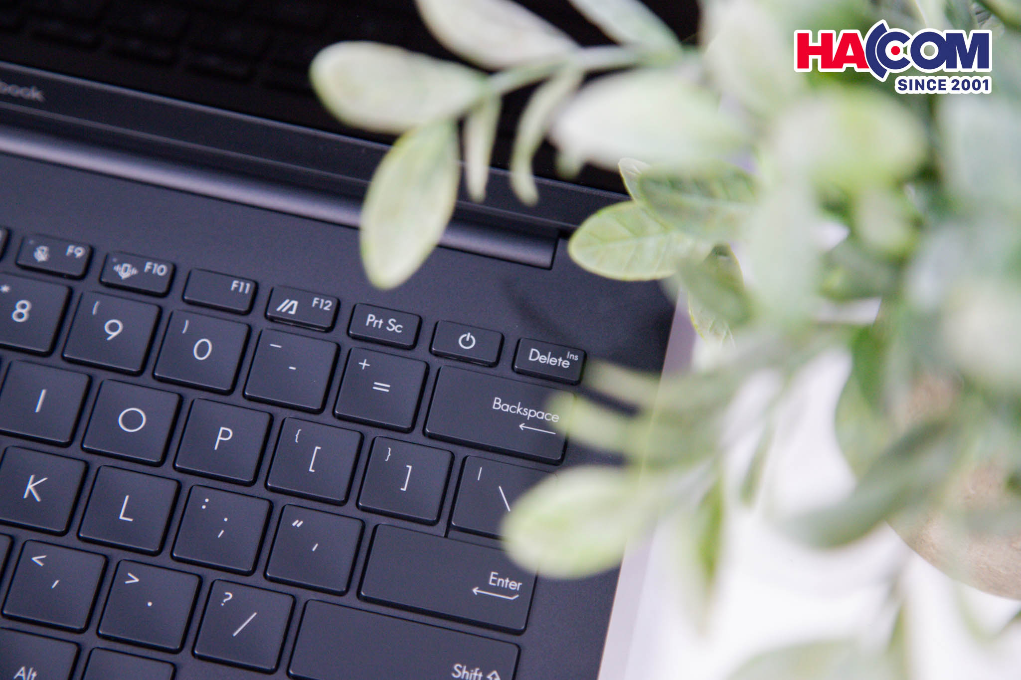 Laptop Asus ZenBook UM3406KA-PP113WS (R7 AI7 350/16GB RAM/512GB SSD/14 3K Oled 120Hz/Win11/OfficeH&amp;S/Túi/Đen) 18