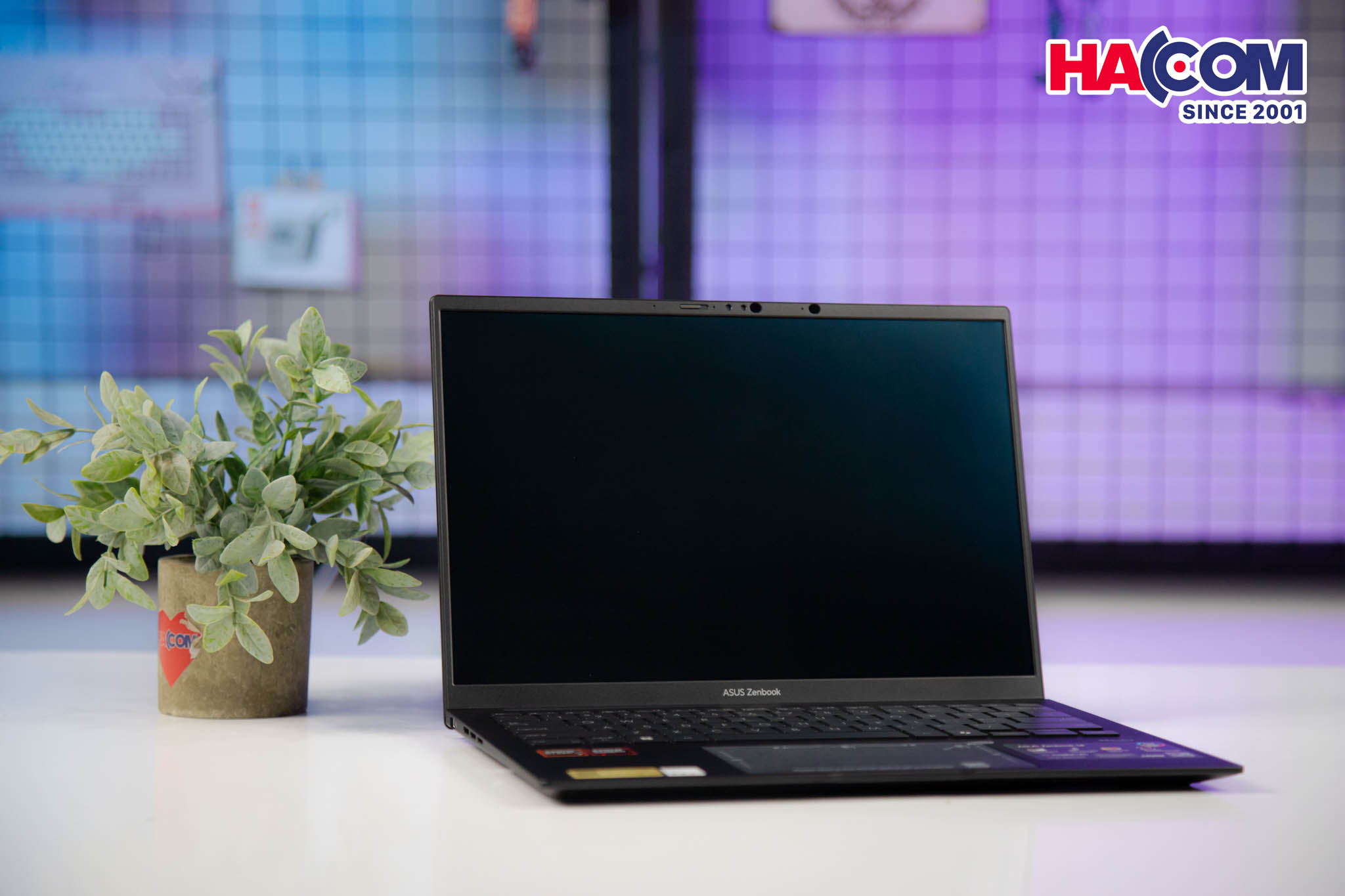 Laptop Asus ZenBook UM3406KA-PP113WS (R7 AI7 350/16GB RAM/512GB SSD/14 3K Oled 120Hz/Win11/OfficeH&amp;S/Túi/Đen) 14