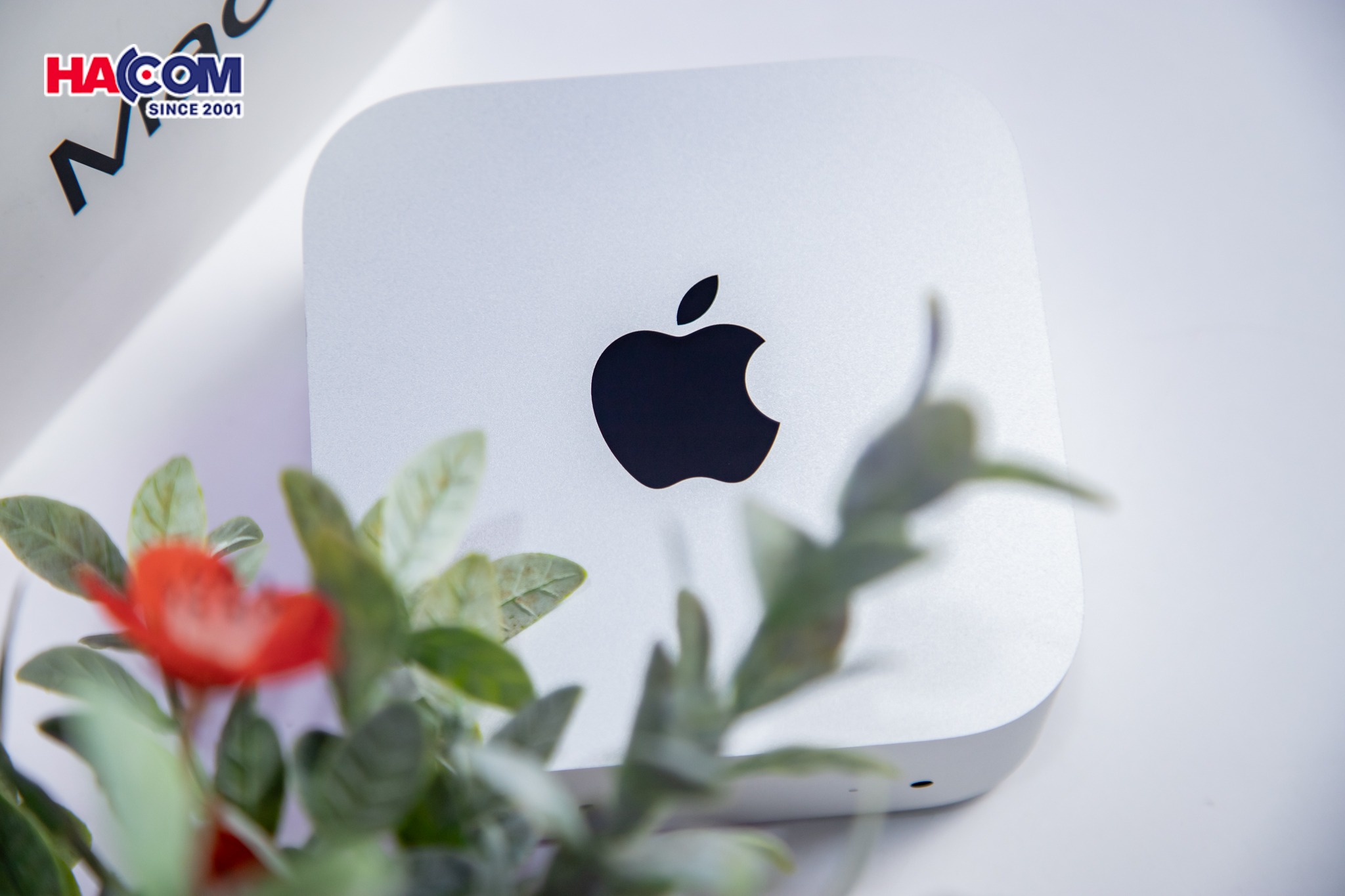 Apple Mac Mini (Z1JX0002R) 7