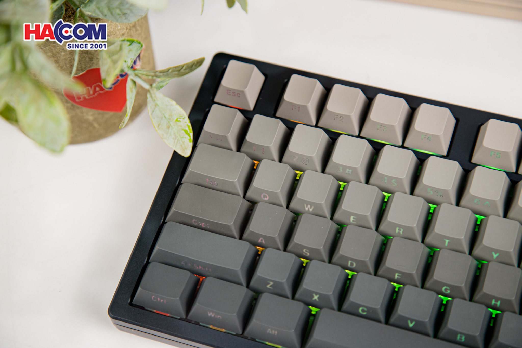 Bàn phím cơ ATK V75X GunMetal Aurora Ice Cream Switch 6