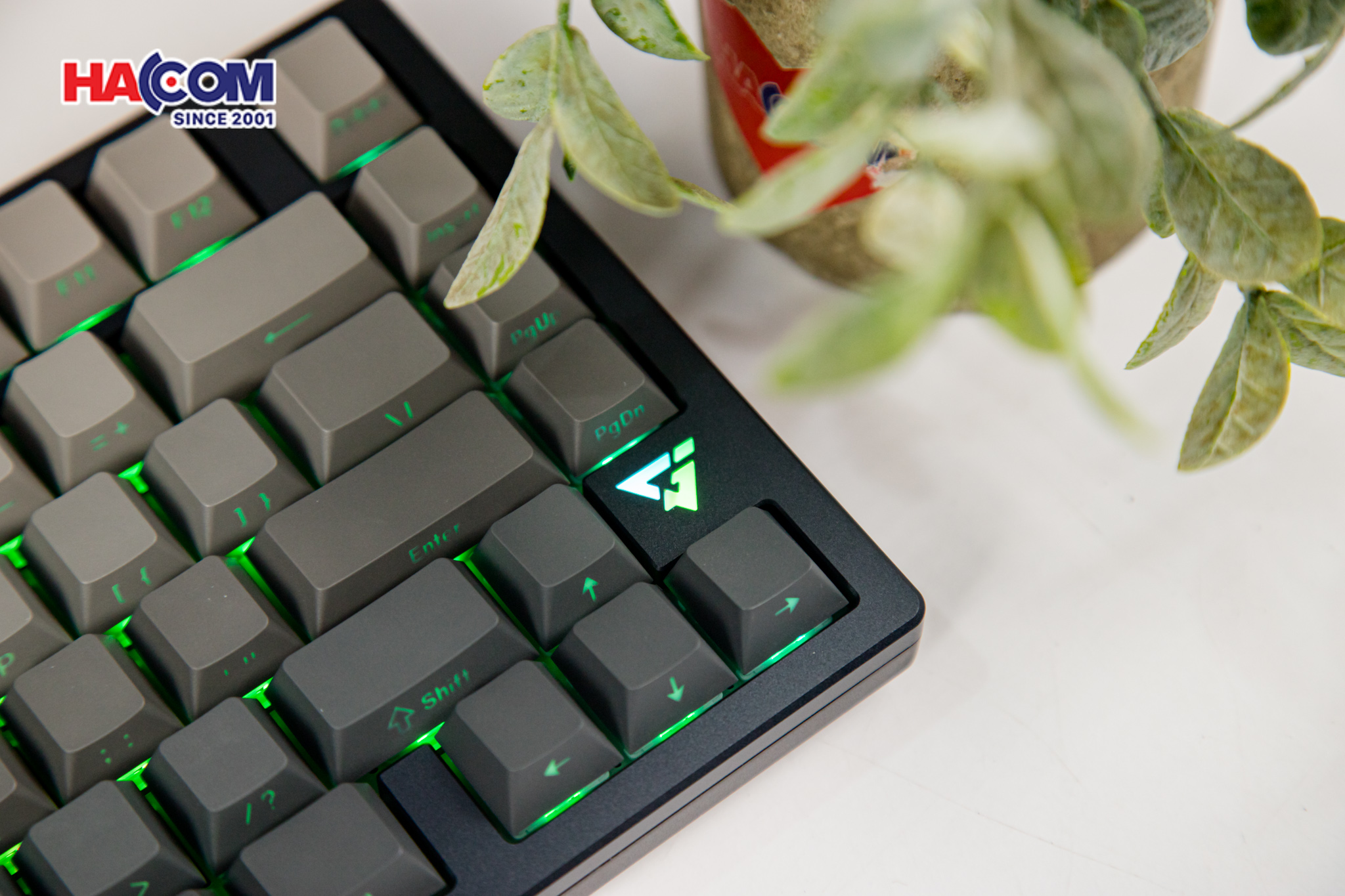 Bàn phím cơ ATK V75X GunMetal Aurora Ice Cream Switch 7