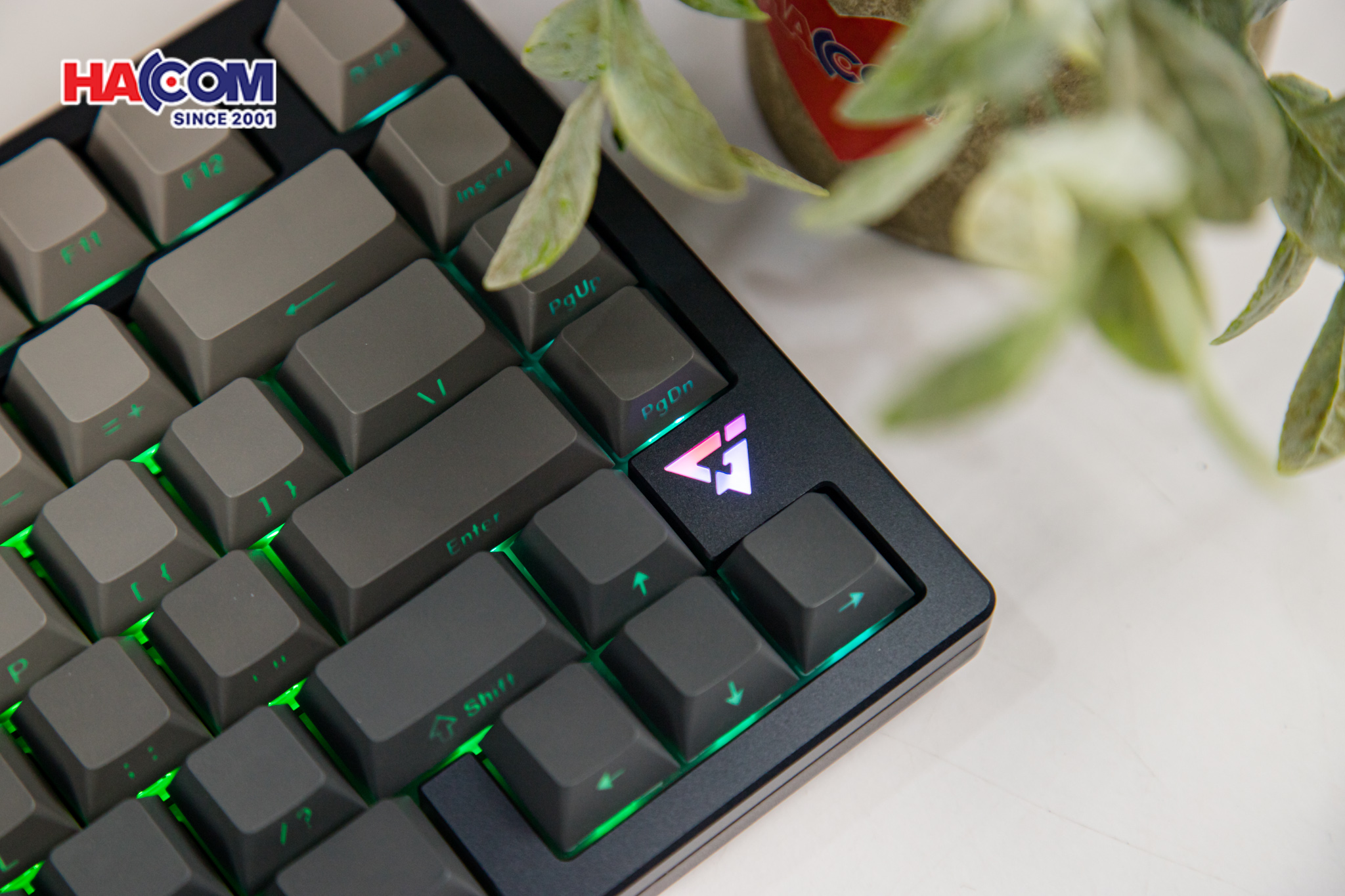 Bàn phím cơ ATK V75X GunMetal Aurora Ice Cream Switch 8