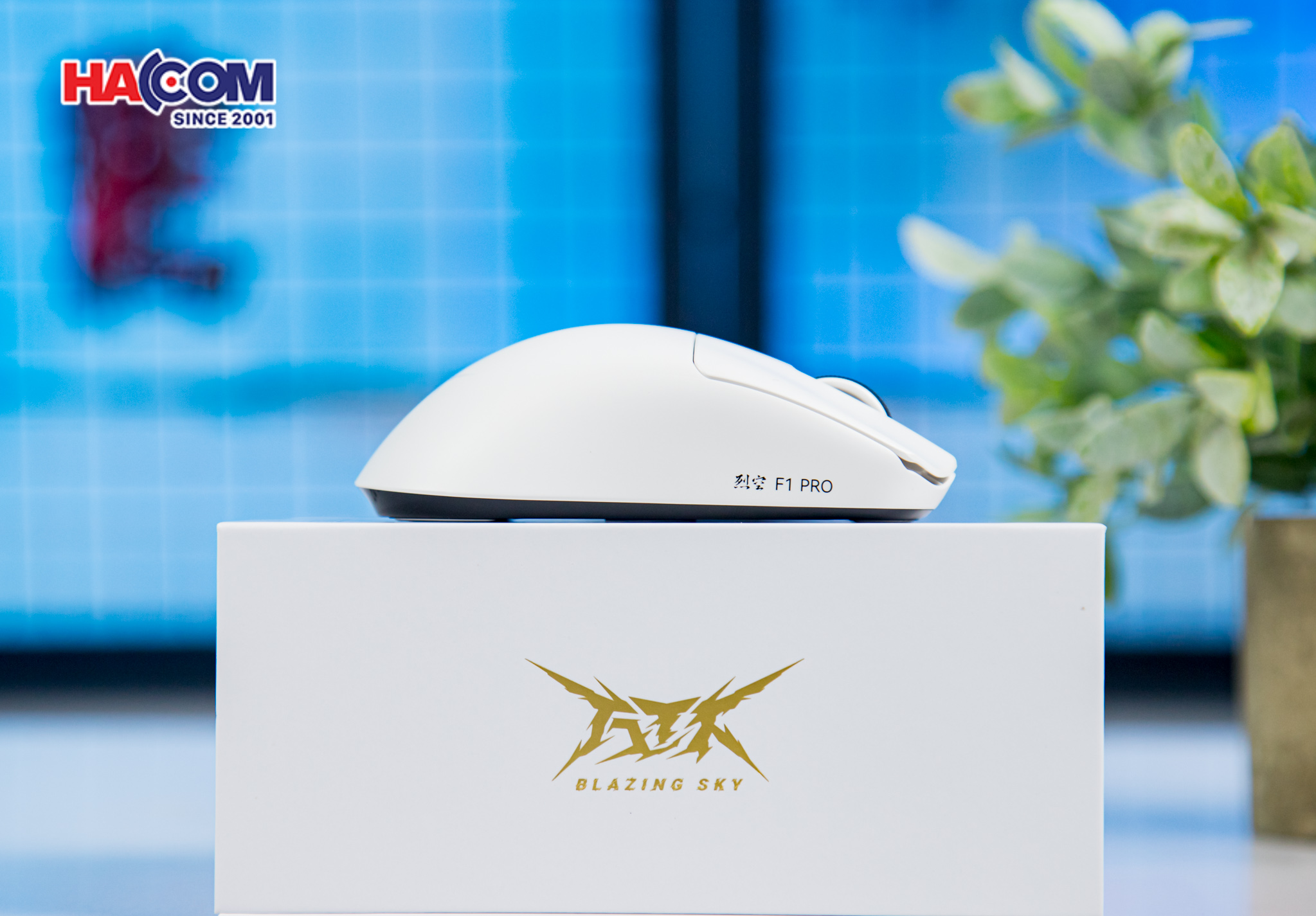 Chuột không dây ATK F1 Pro - Màu Trắng 5