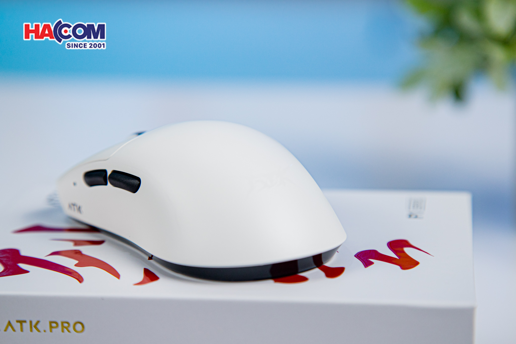 Chuột không dây ATK F1 Pro - Màu Trắng 9