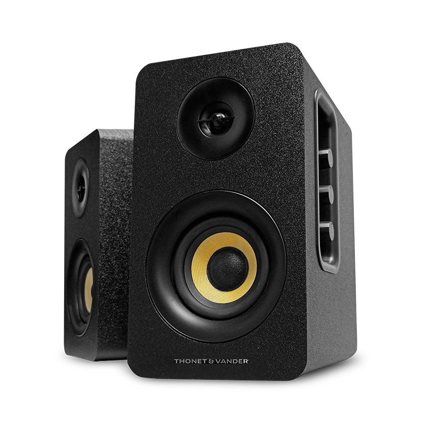 LOA BLUETOOTH THONET & VANDER KUMPEL 2.0 (MÀU ĐEN)