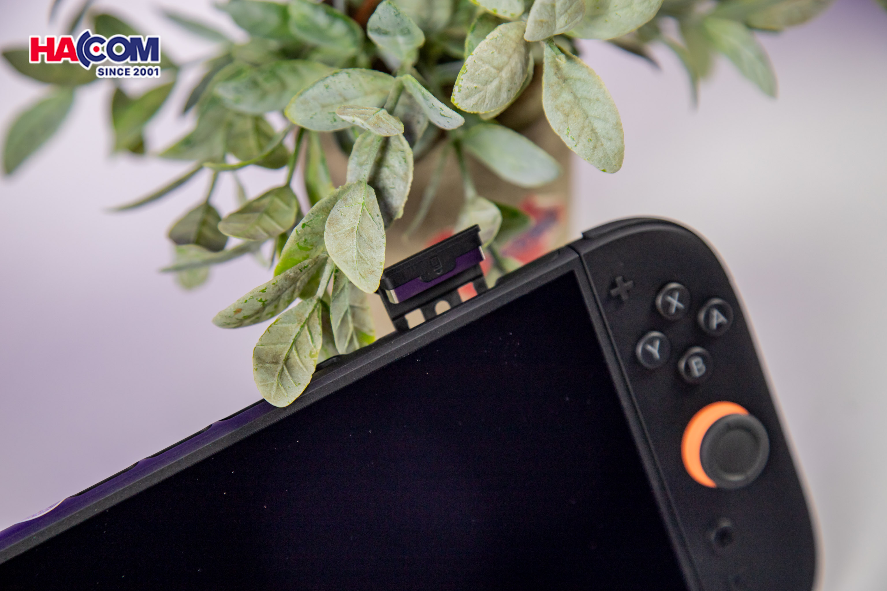 Máy chơi game Nintendo Switch 2 (+ gói bảo hành 12 tháng) 24