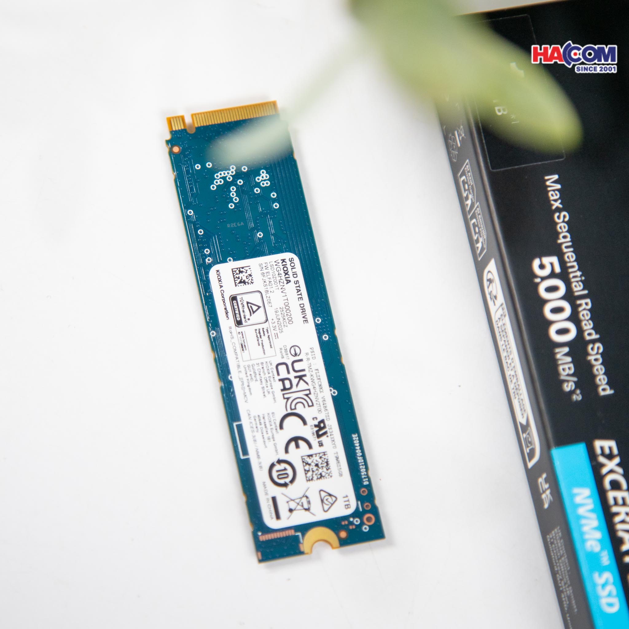 /o-cung-ssd-kioxia-exceria-plus-g3-1.jpg 3