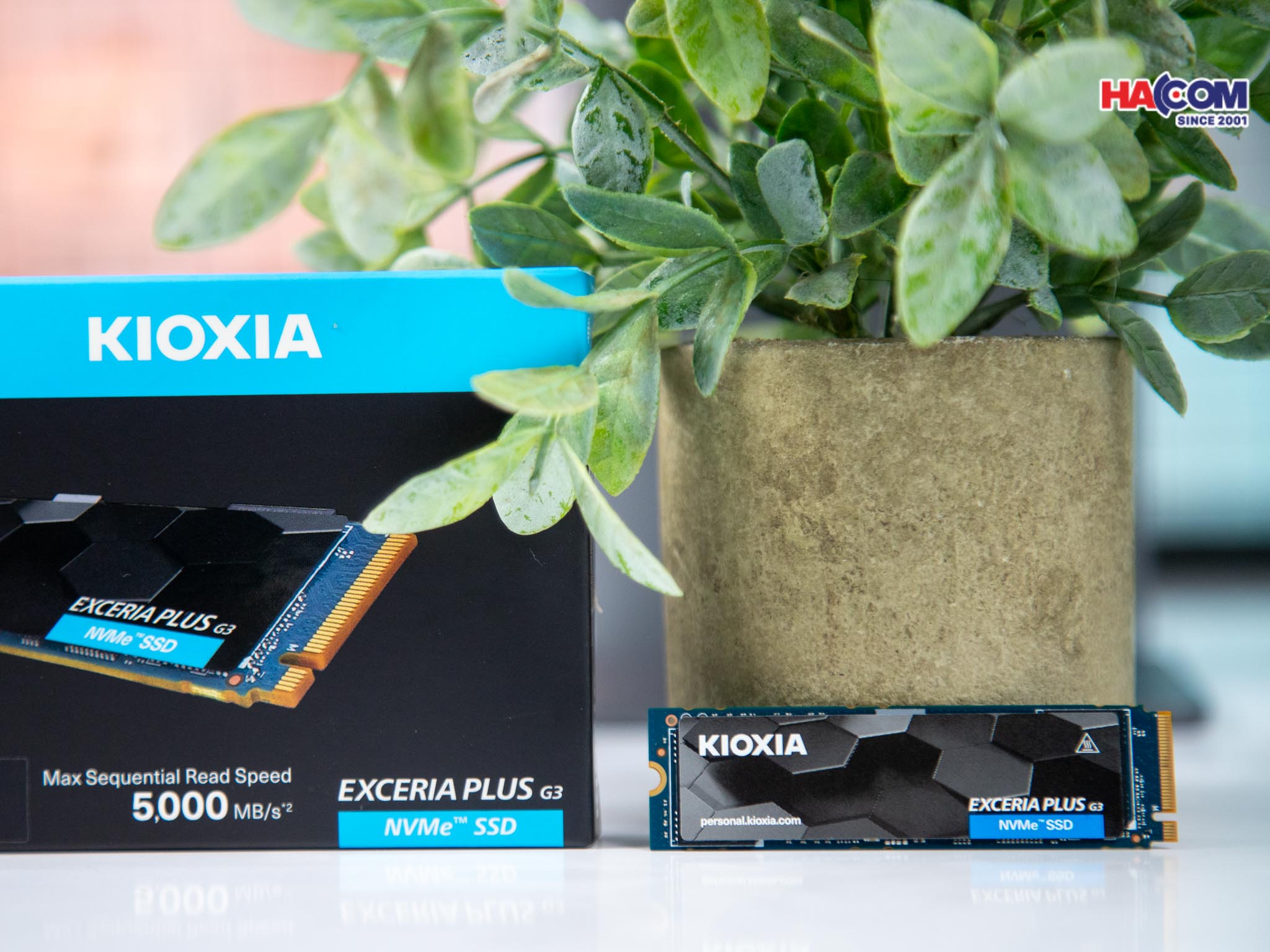 /o-cung-ssd-kioxia-exceria-plus-g3-2.jpg 4