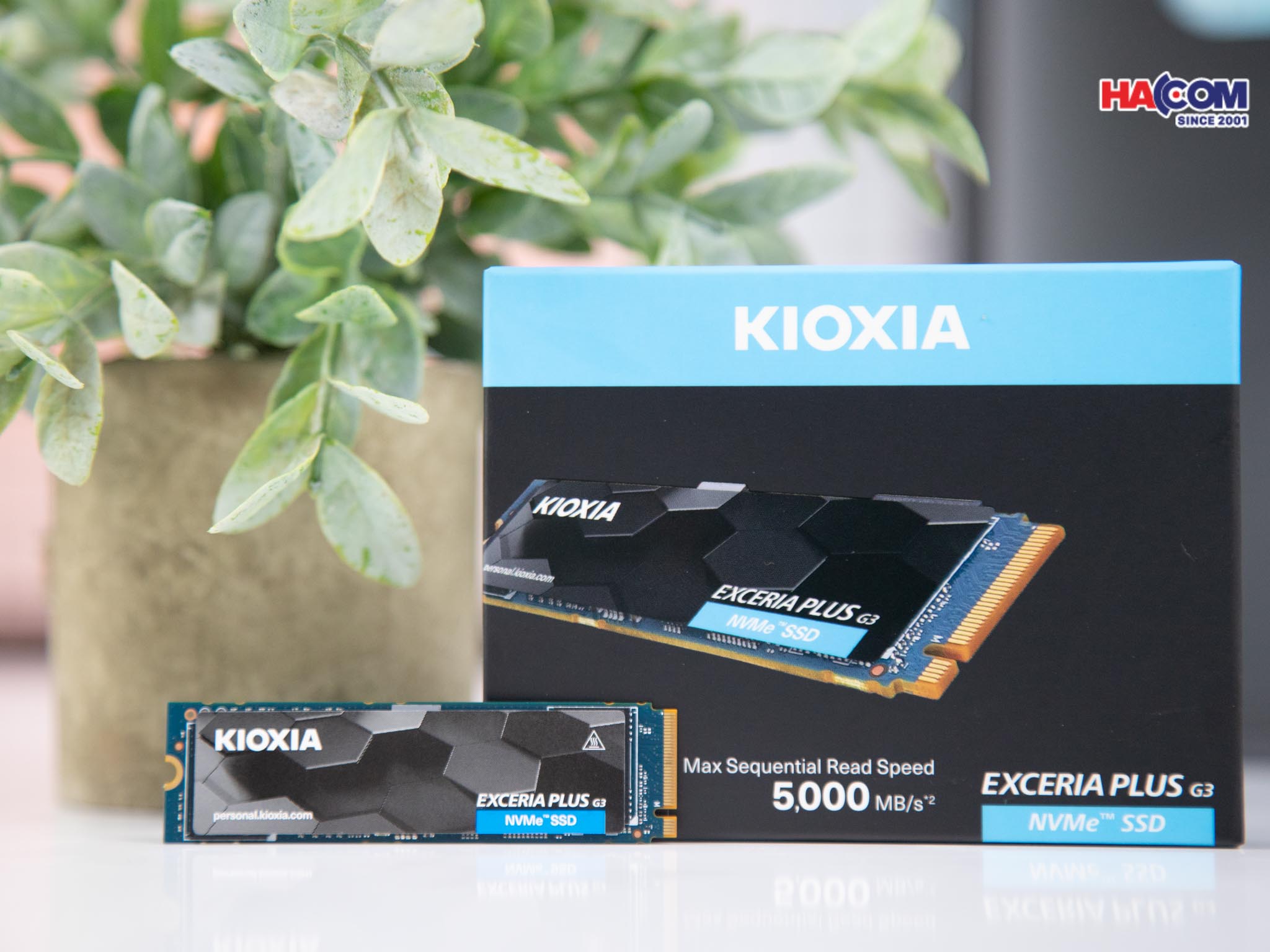 /o-cung-ssd-kioxia-exceria-plus-g3-3.jpg 5