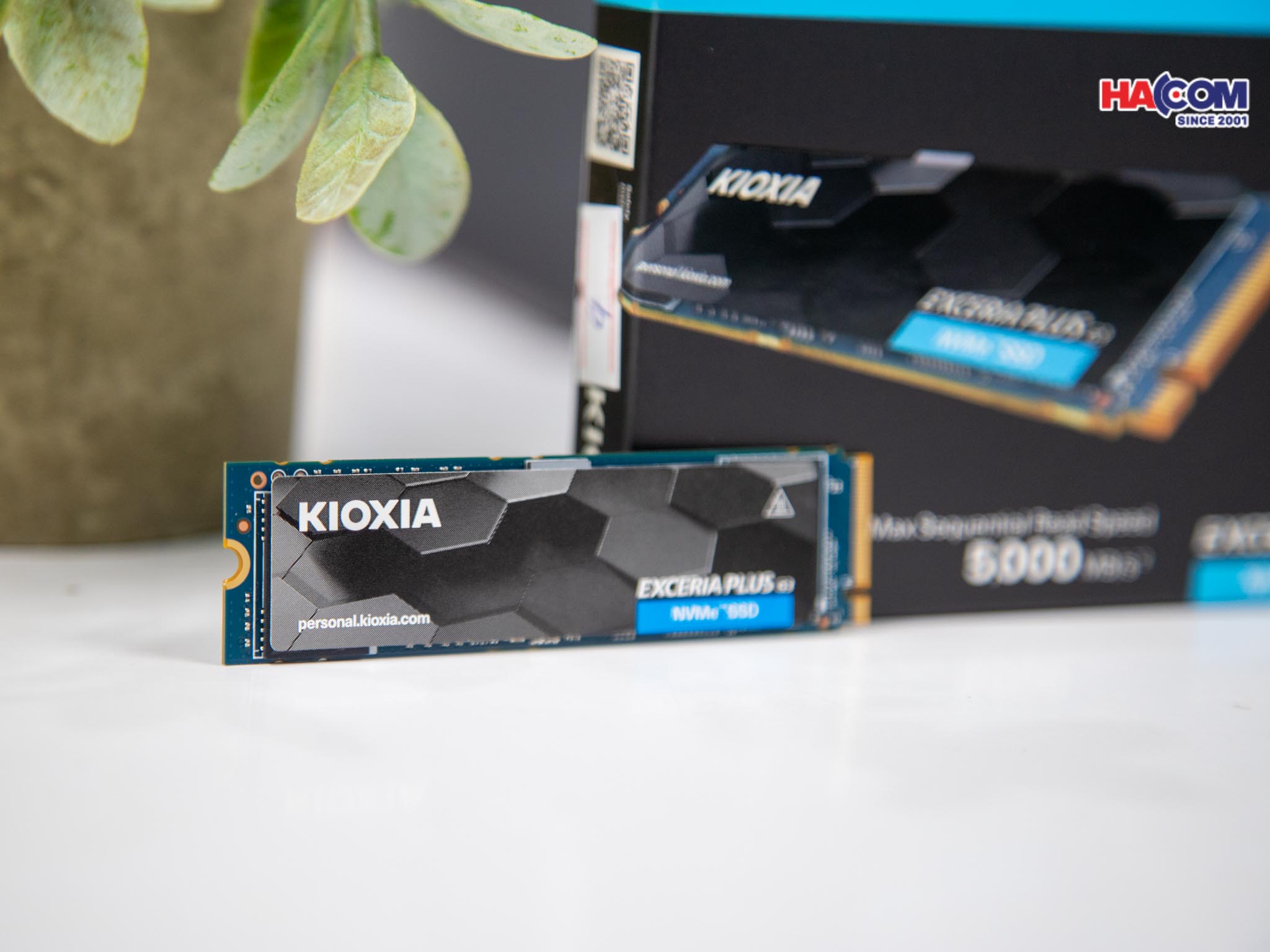 /o-cung-ssd-kioxia-exceria-plus-g3-4.jpg 6