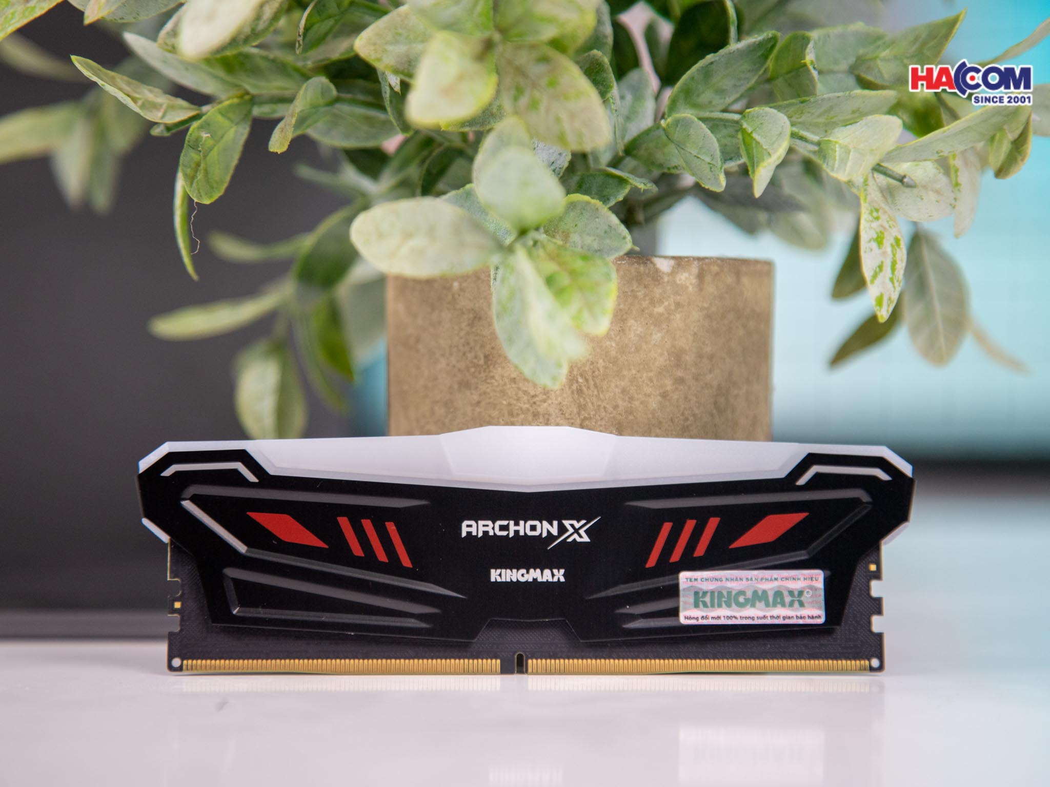 AM Desktop KINGMAX ARTHON X-HS&amp;RGB  3