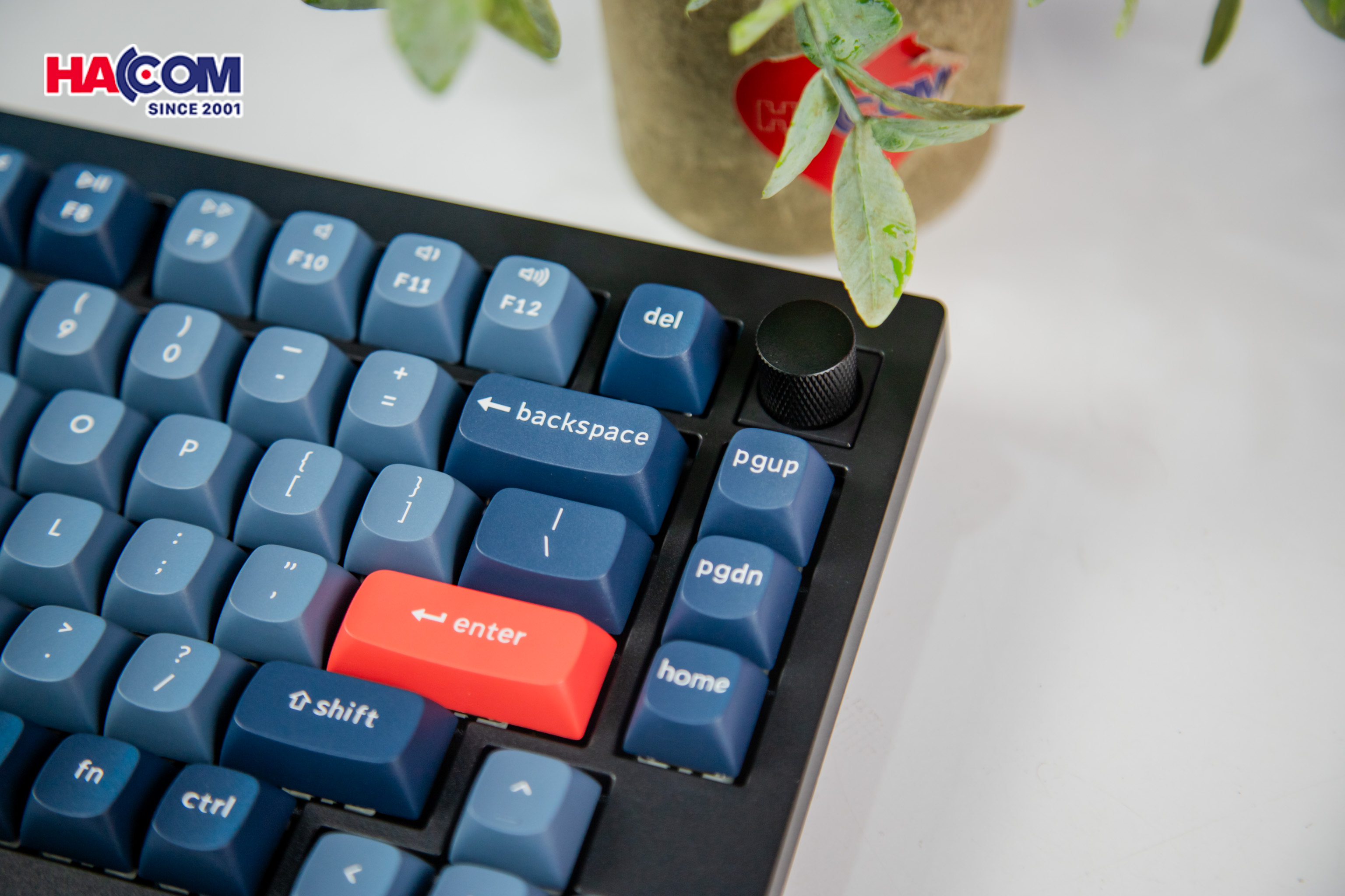 Bàn phím Keychron V1M-D1 V1 Max Swappable RGB Backlight Red Switch 7