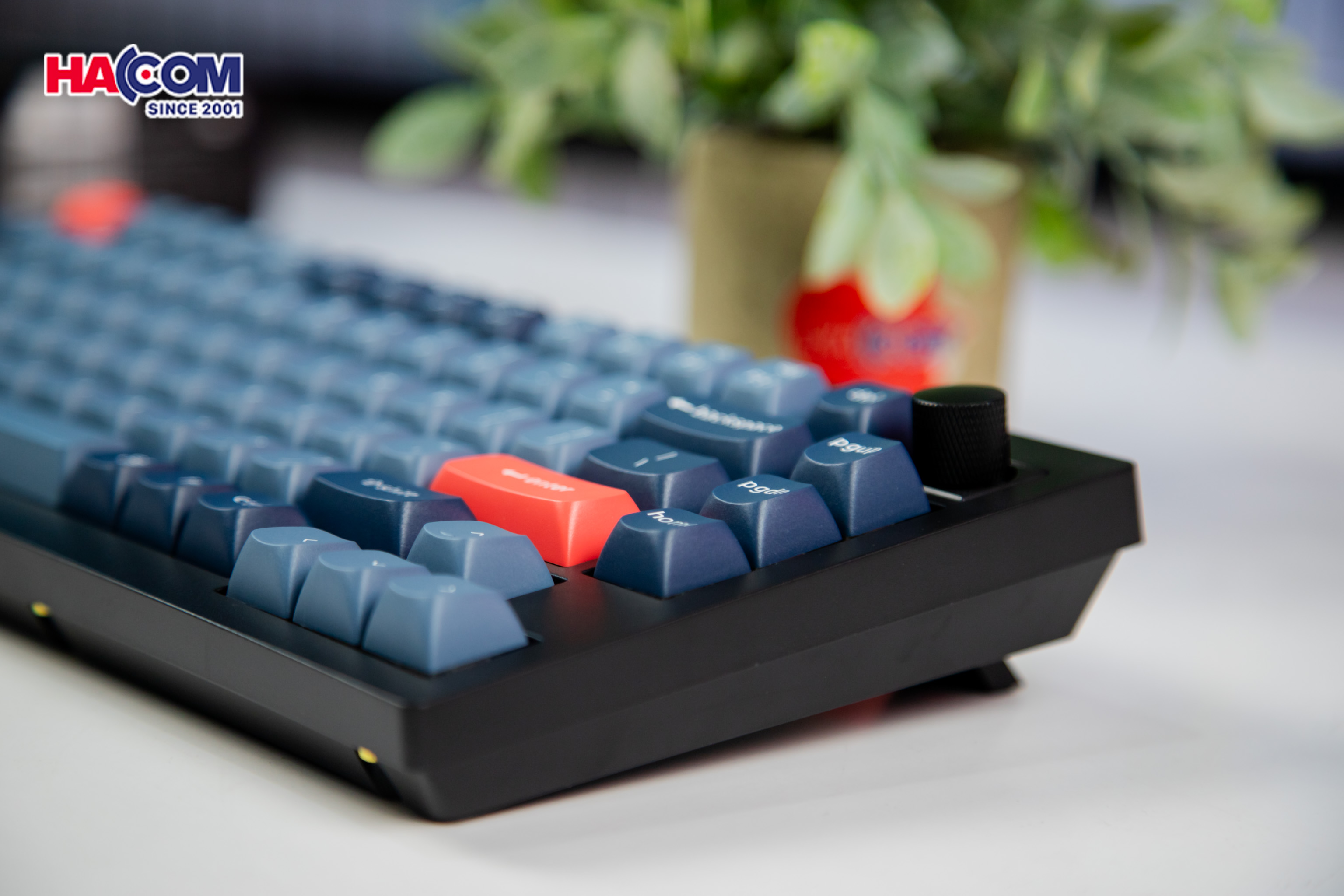 Bàn phím Keychron V1M-D3 V1 Max Swappable RGB Backlight Brown Switch 10