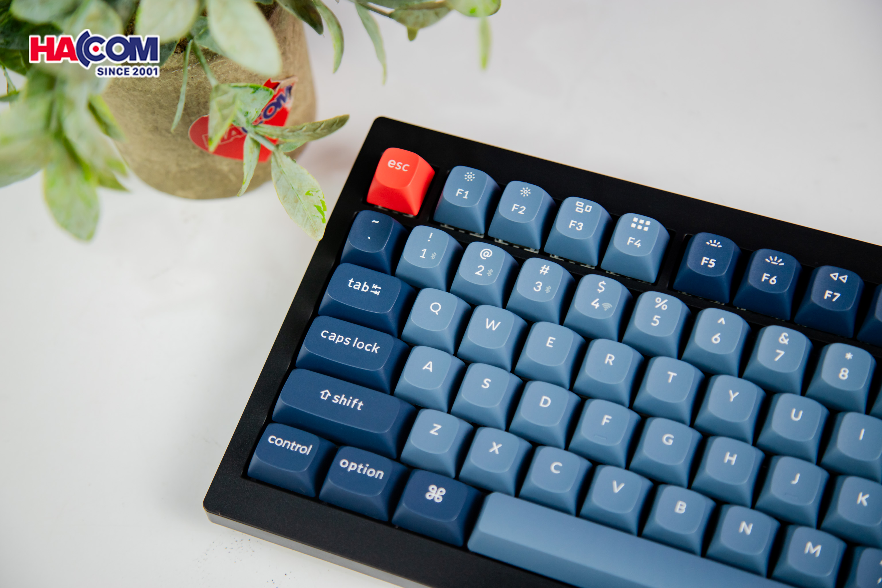 Bàn phím Keychron V1M-D3 V1 Max Swappable RGB Backlight Brown Switch 6