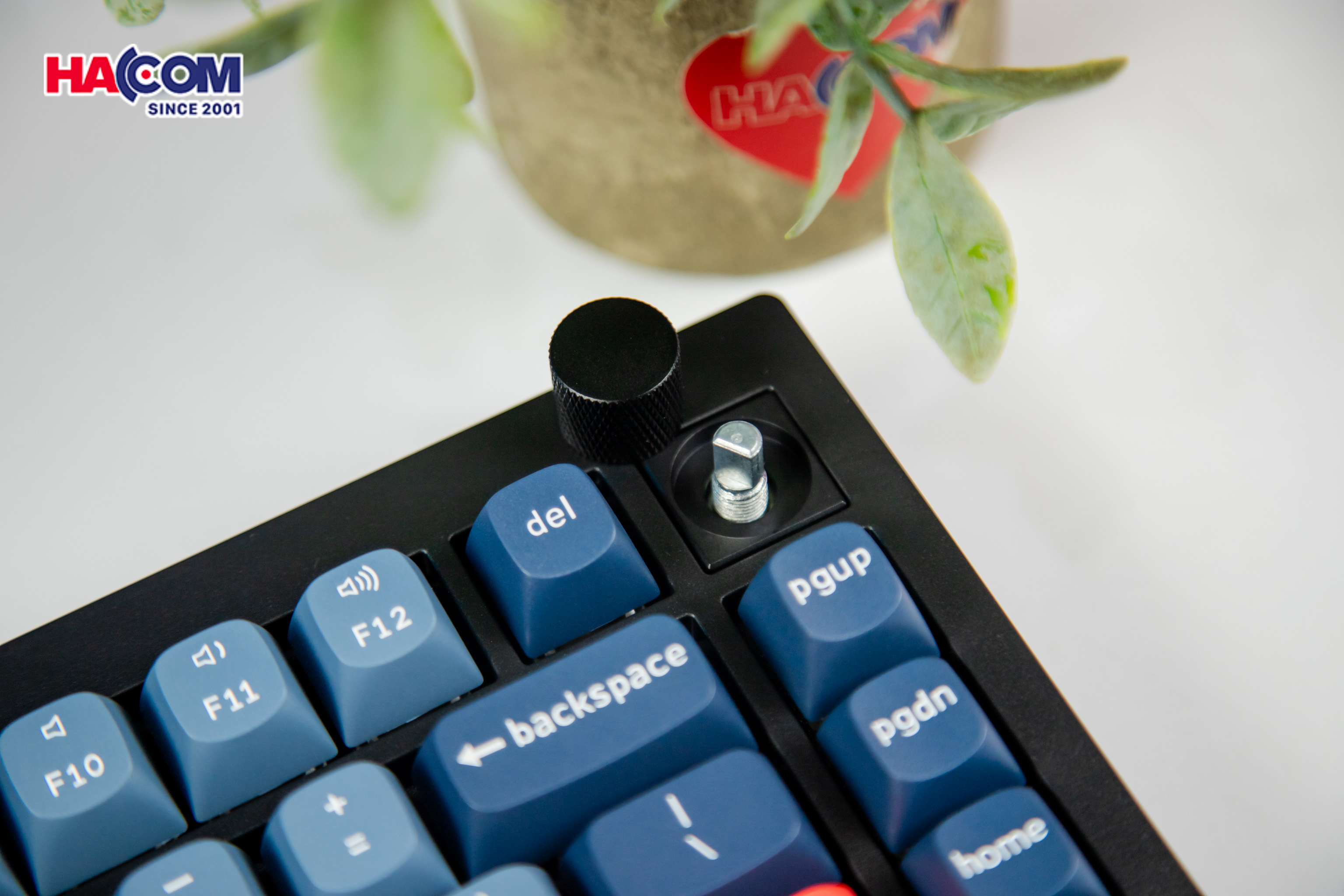 Bàn phím Keychron V1M-D4 V1 Max Swappable RGB Backlight Banana Switch 14