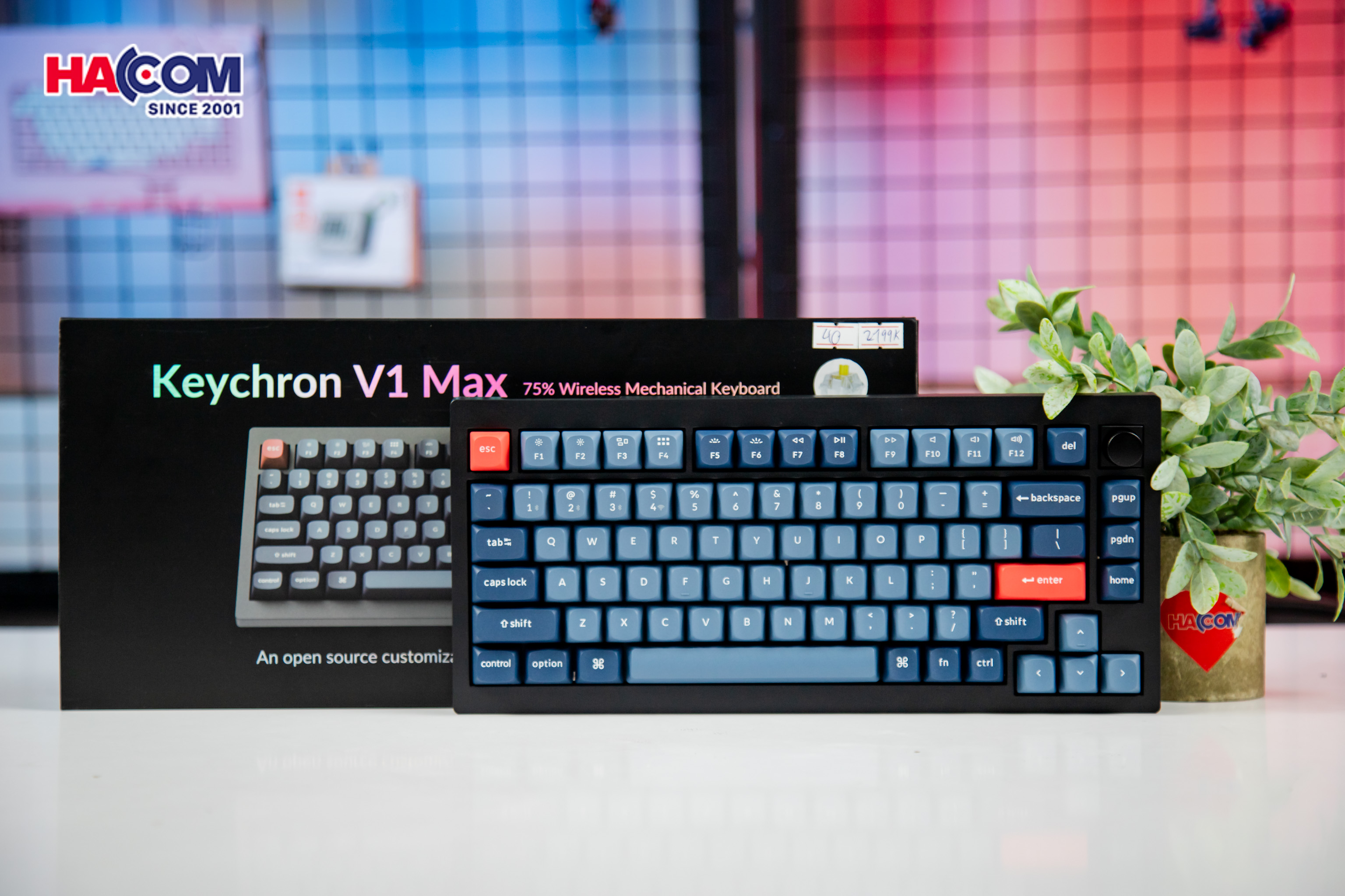 Bàn phím Keychron V1M-D4 V1 Max Swappable RGB Backlight Banana Switchb/ban-phim-keychron-v1m-d4-v1-max-swappable-rgb-backlight-banana-switch-black-knob-version-03.jpg 3