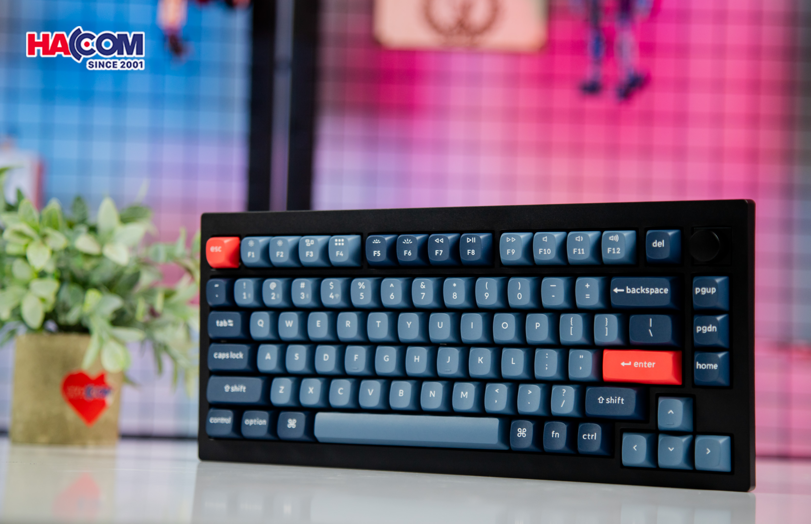 Bàn phím Keychron V1M-D4 V1 Max Swappable RGB Backlight Banana Switch 5