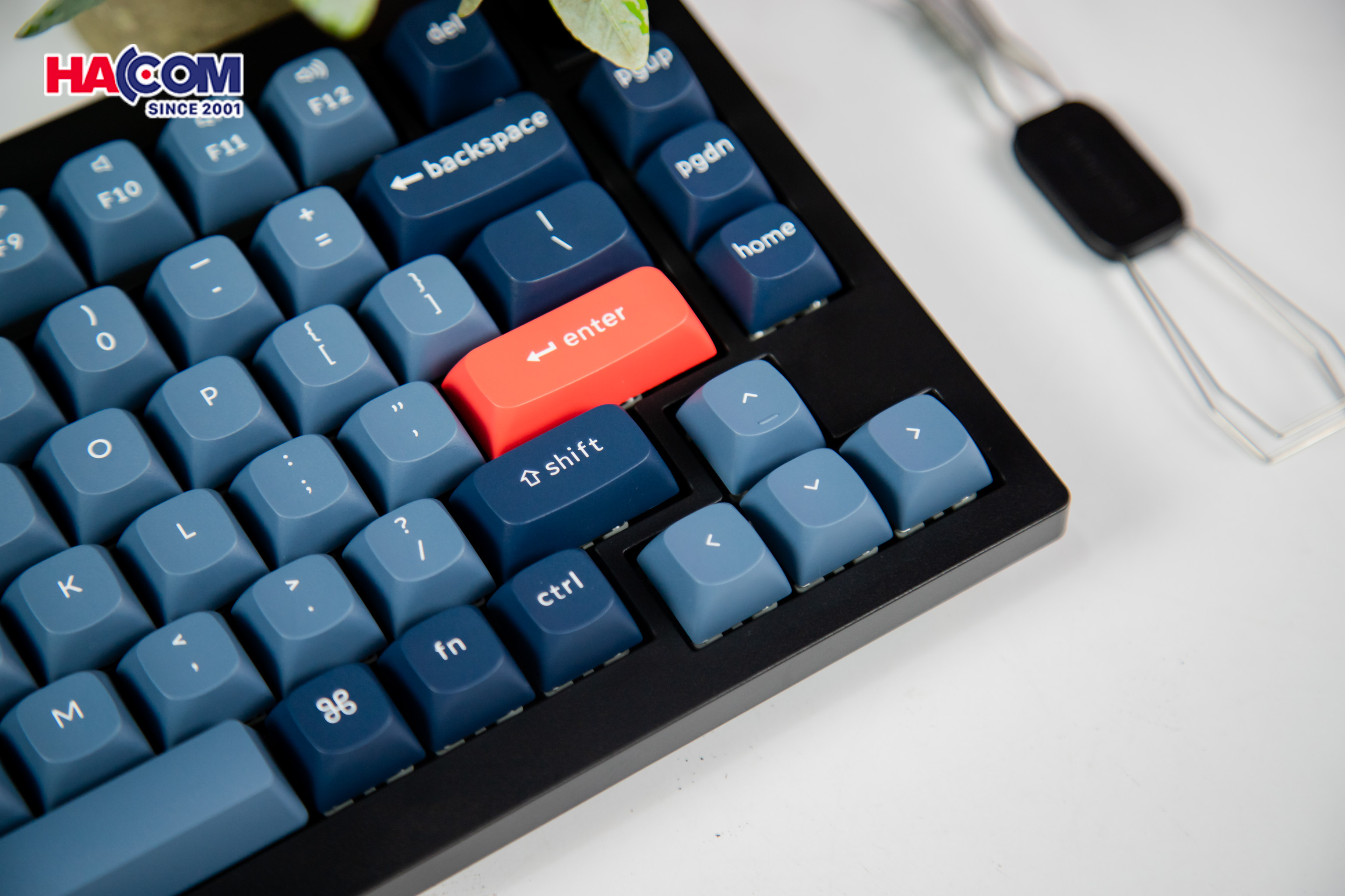 Bàn phím Keychron V1M-D4 V1 Max Swappable RGB Backlight Banana Switch 8