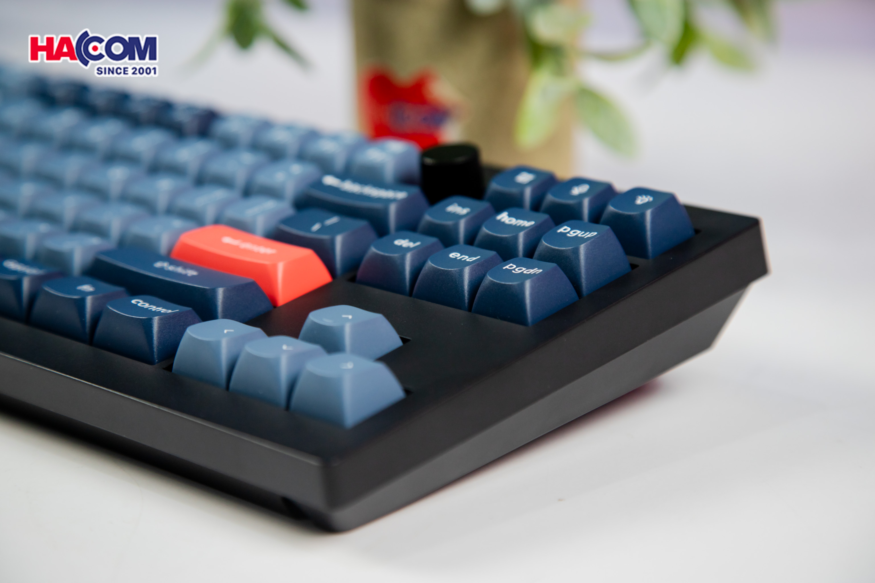 Bàn phím Keychron V3M-D1 V3 Max Swappable RGB Backlight Red Switch 12
