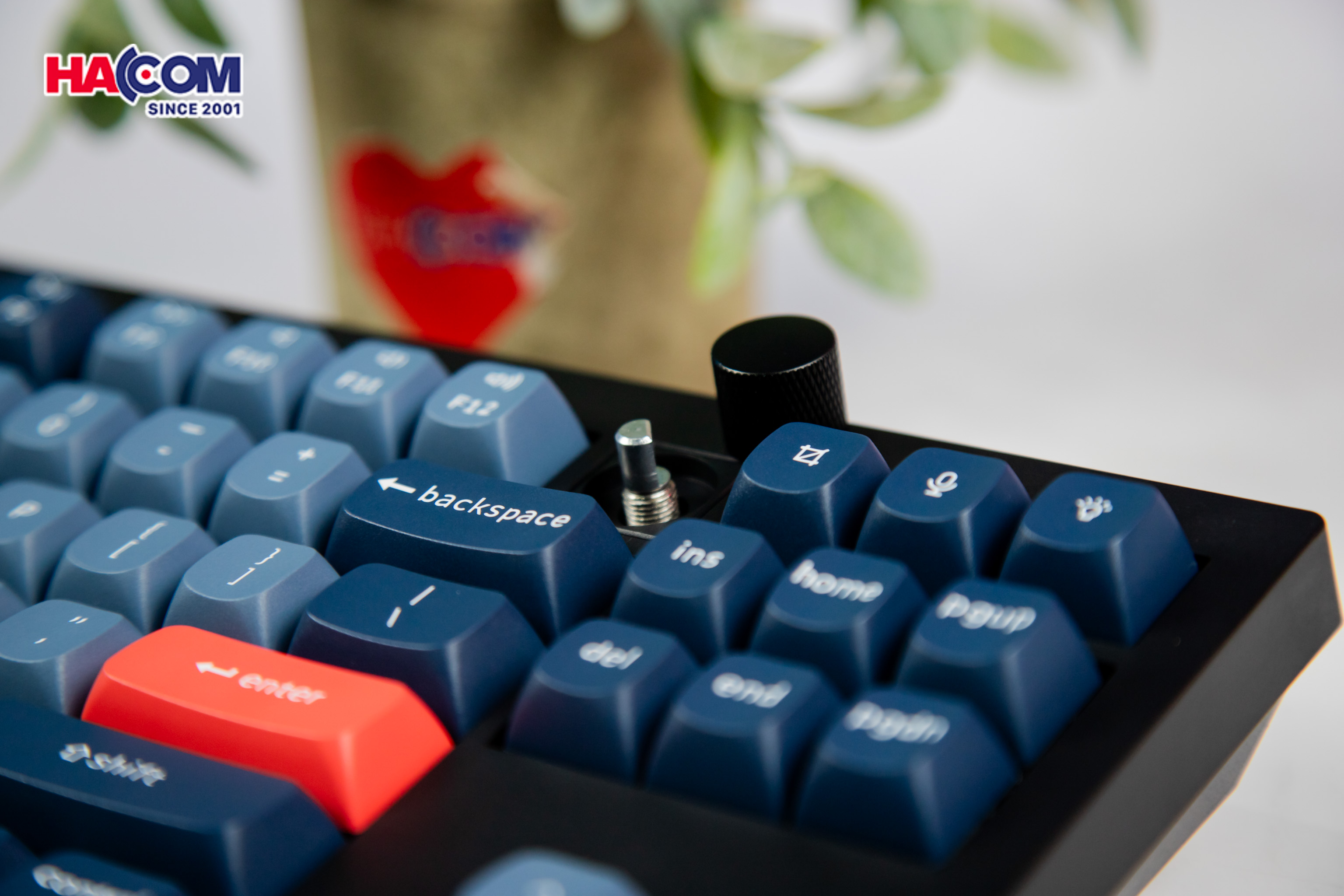 Bàn phím Keychron V3M-D1 V3 Max Swappable RGB Backlight Red Switch 13
