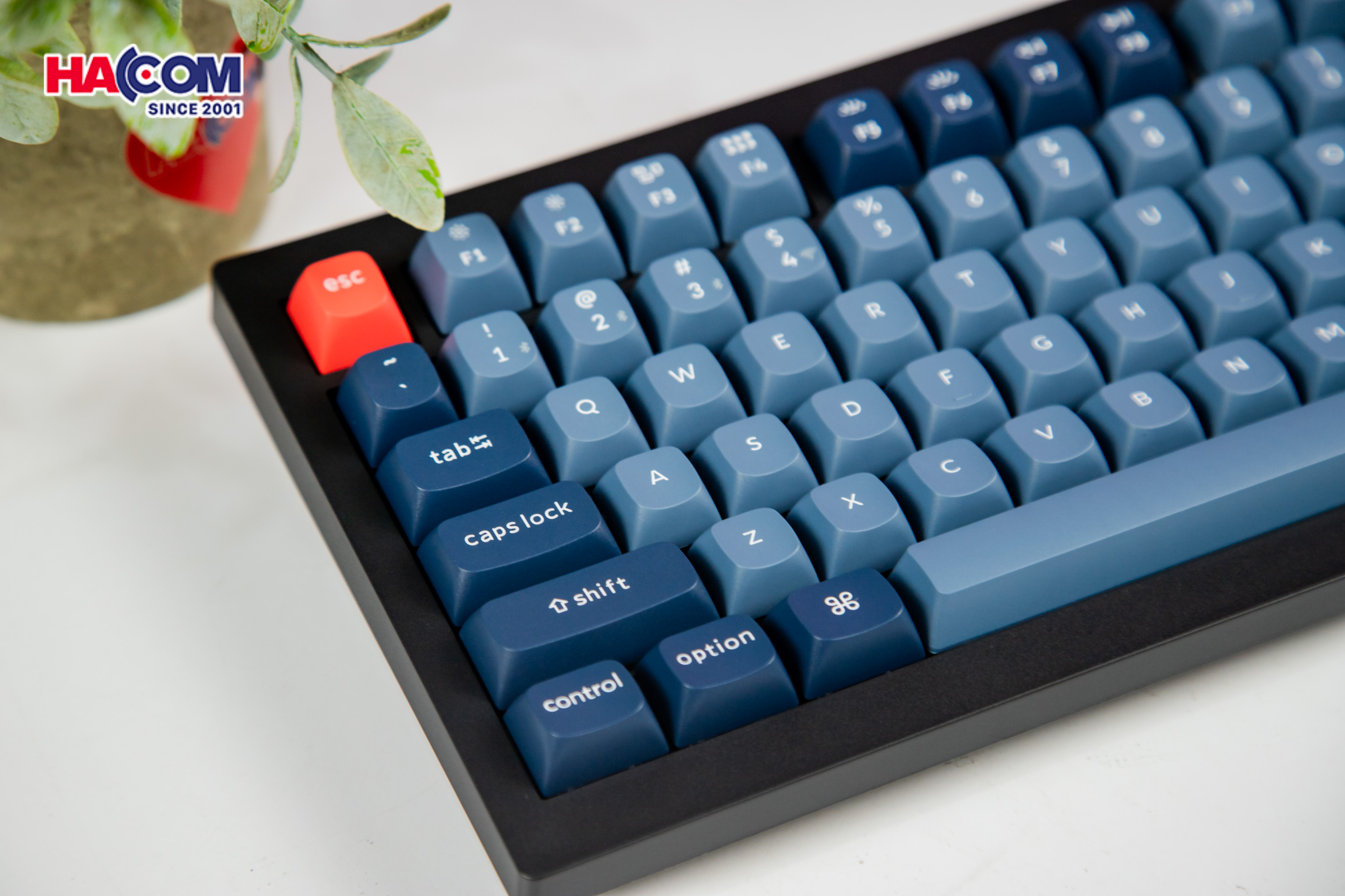 Bàn phím Keychron V3M-D1 V3 Max Swappable RGB Backlight Red Switch - Black - Knob Version - Hình 7