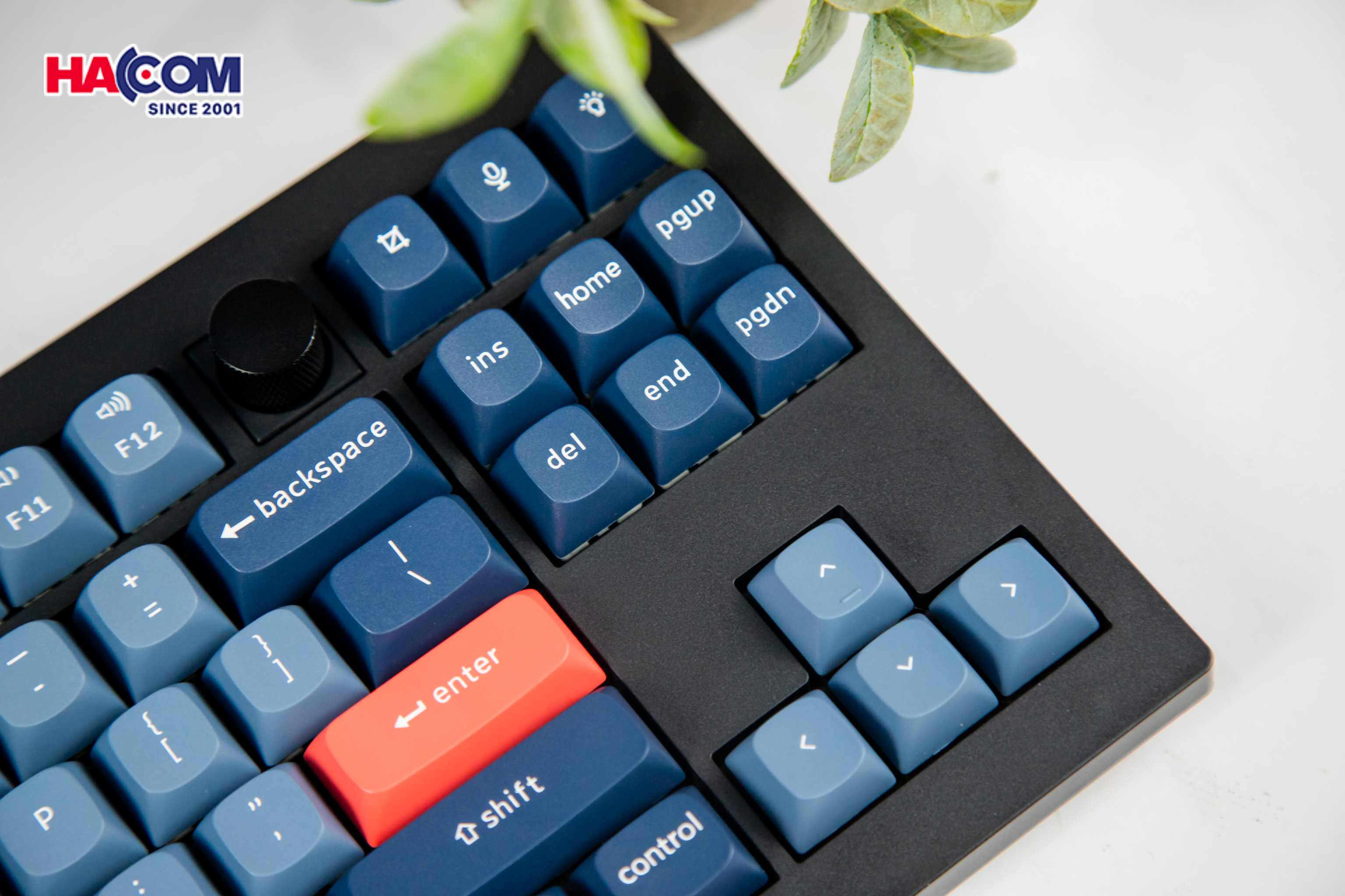 Bàn phím Keychron V3M-D1 V3 Max Swappable RGB Backlight Red Switch - Black - Knob Version - Hình 8
