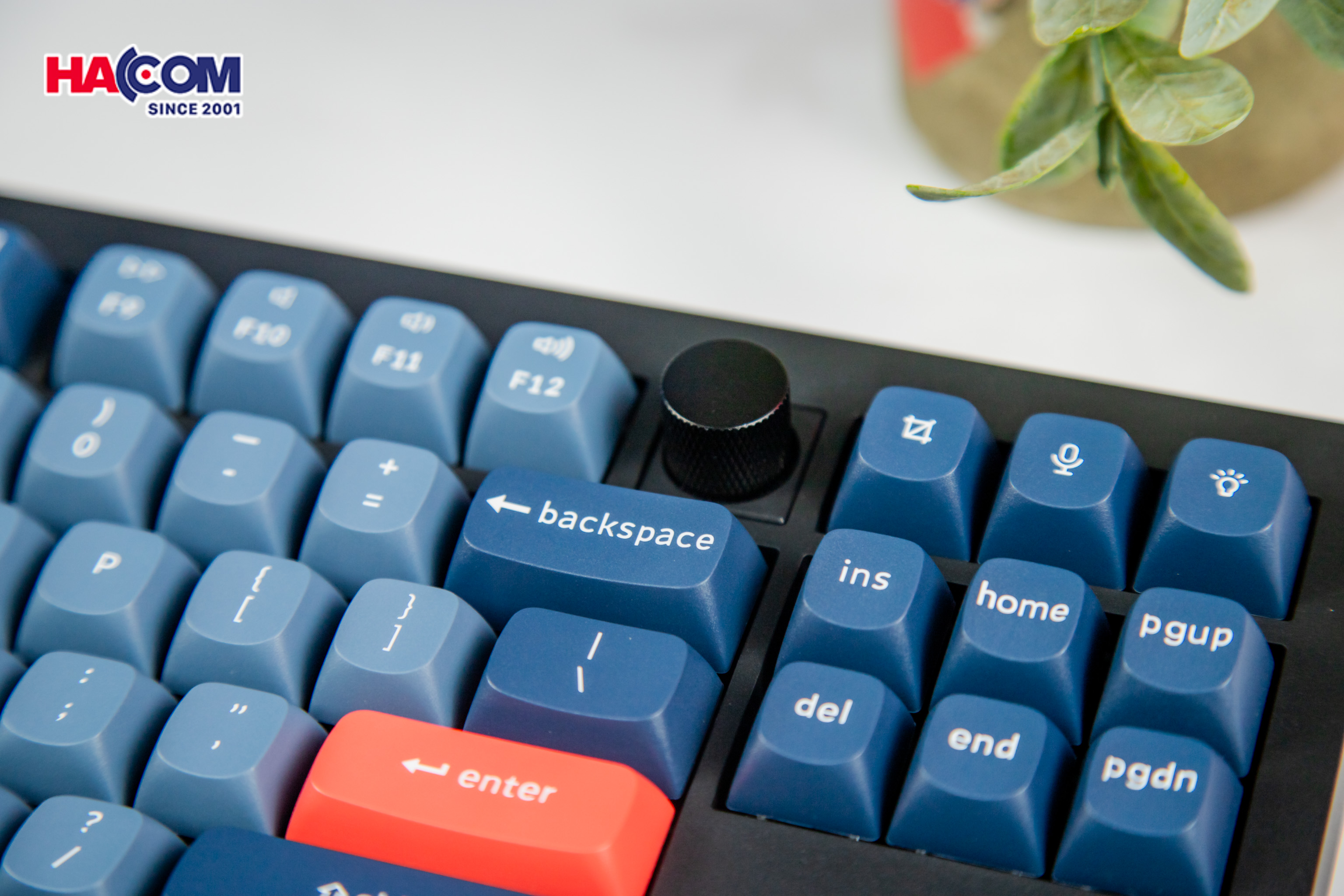 Bàn phím Keychron V3M-D4 V3 Max Swappable RGB Backlight Banana Switch 9