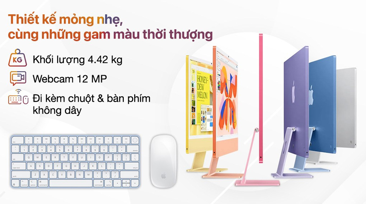 Thiết Kế Tinh Tế Và Màu Sắc Đa Dạng