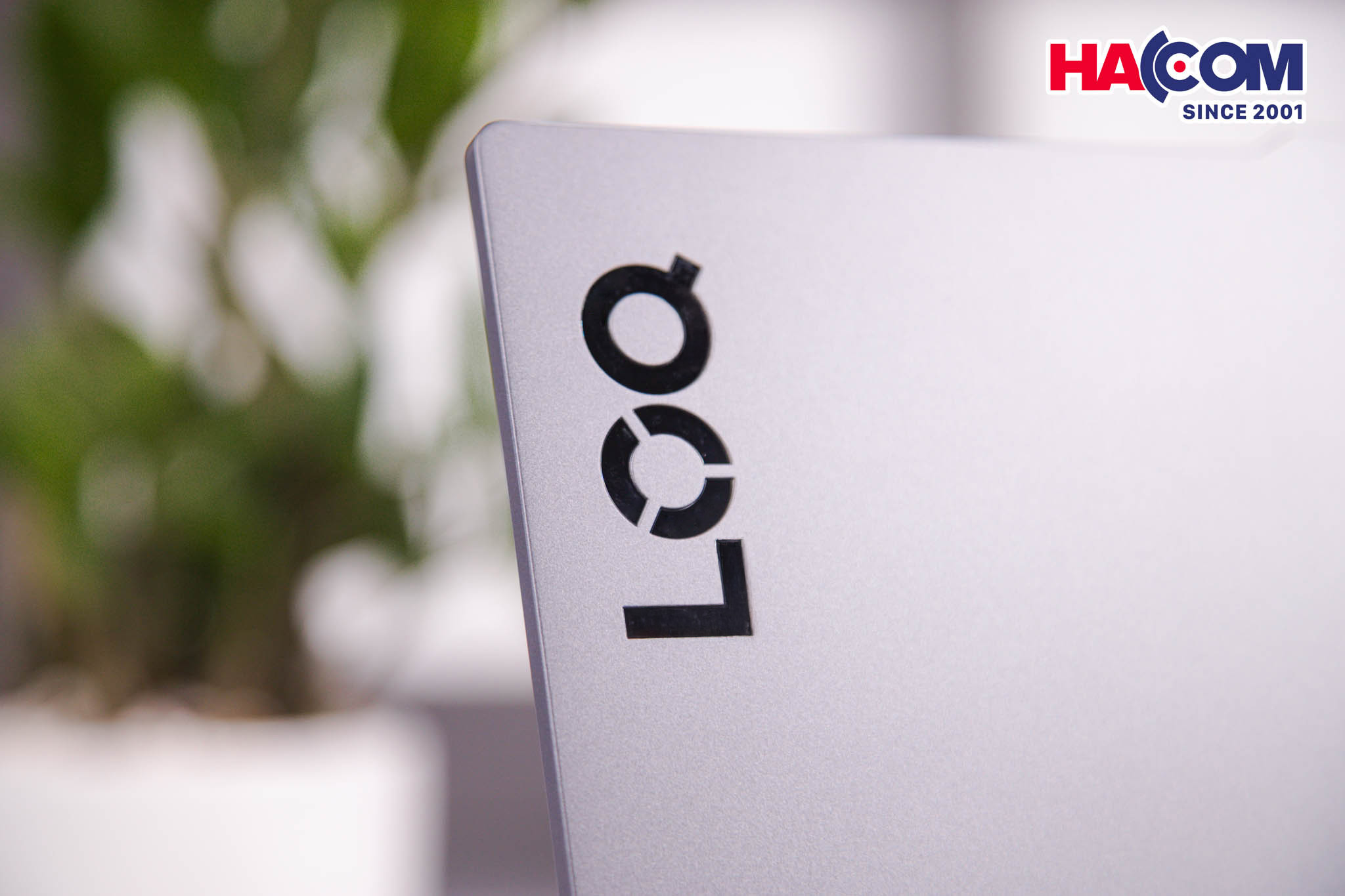 Development/20250813-183a1b48-e7e9-4426-bc85-be19ec3e8728.jpg 20