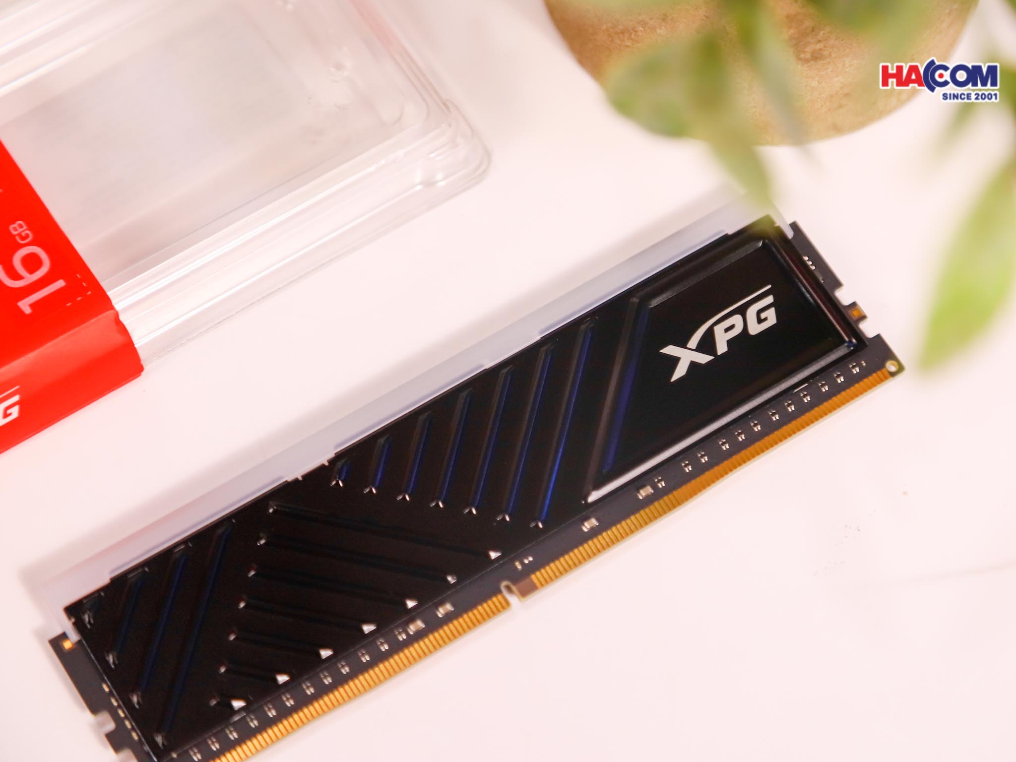 Development/20250813-35c31211-5f3d-495a-be7b-5c6f81bc6815.jpg 5