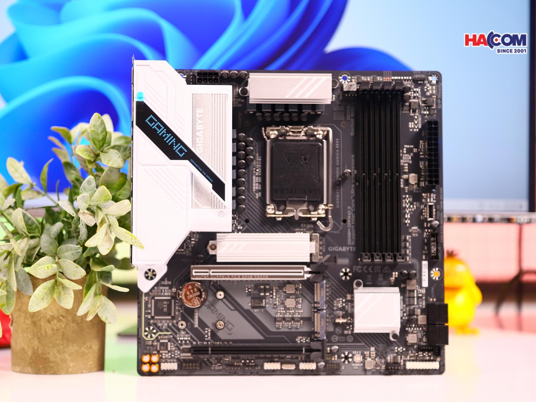 Development/20250813-4750c09d-f246-4145-96ba-e5bba90d23d4.jpg 6