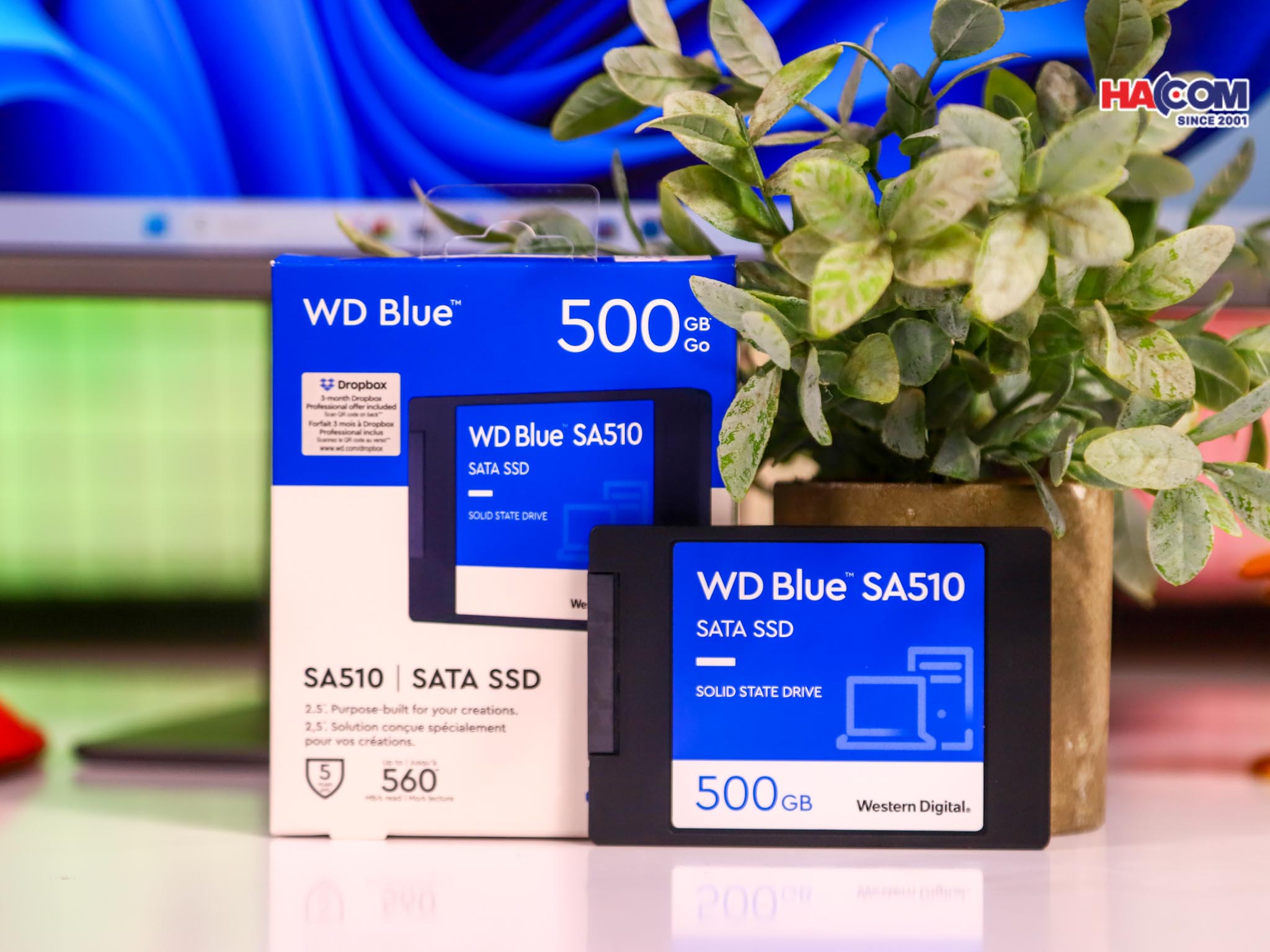 Development/20250813-63d54bdd-cdb6-4e2a-b003-20d1b1027be3.jpg 2