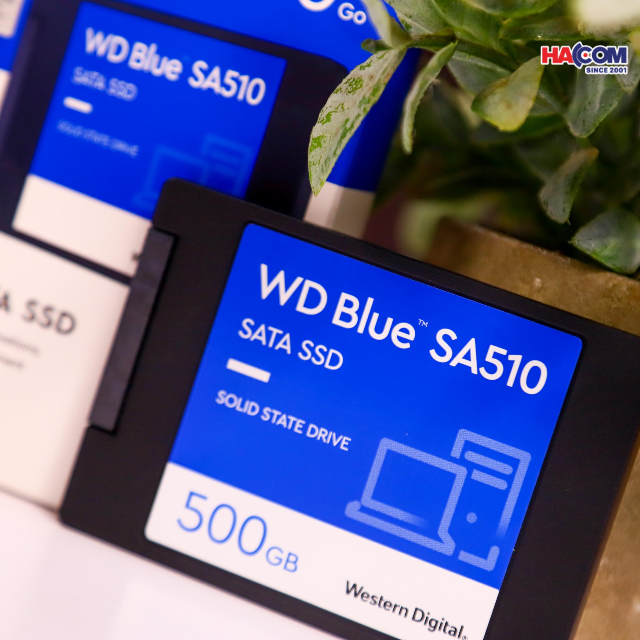 Development/20250813-680e72b3-05e6-4236-a3b0-07e256bdfddf.jpg 3