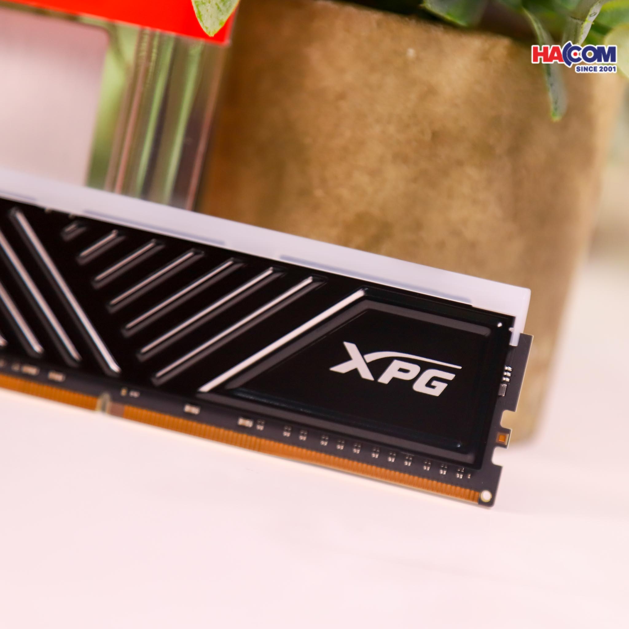 Development/20250813-9e314040-da82-4cb7-938c-13fb542fc3ff.jpg 4