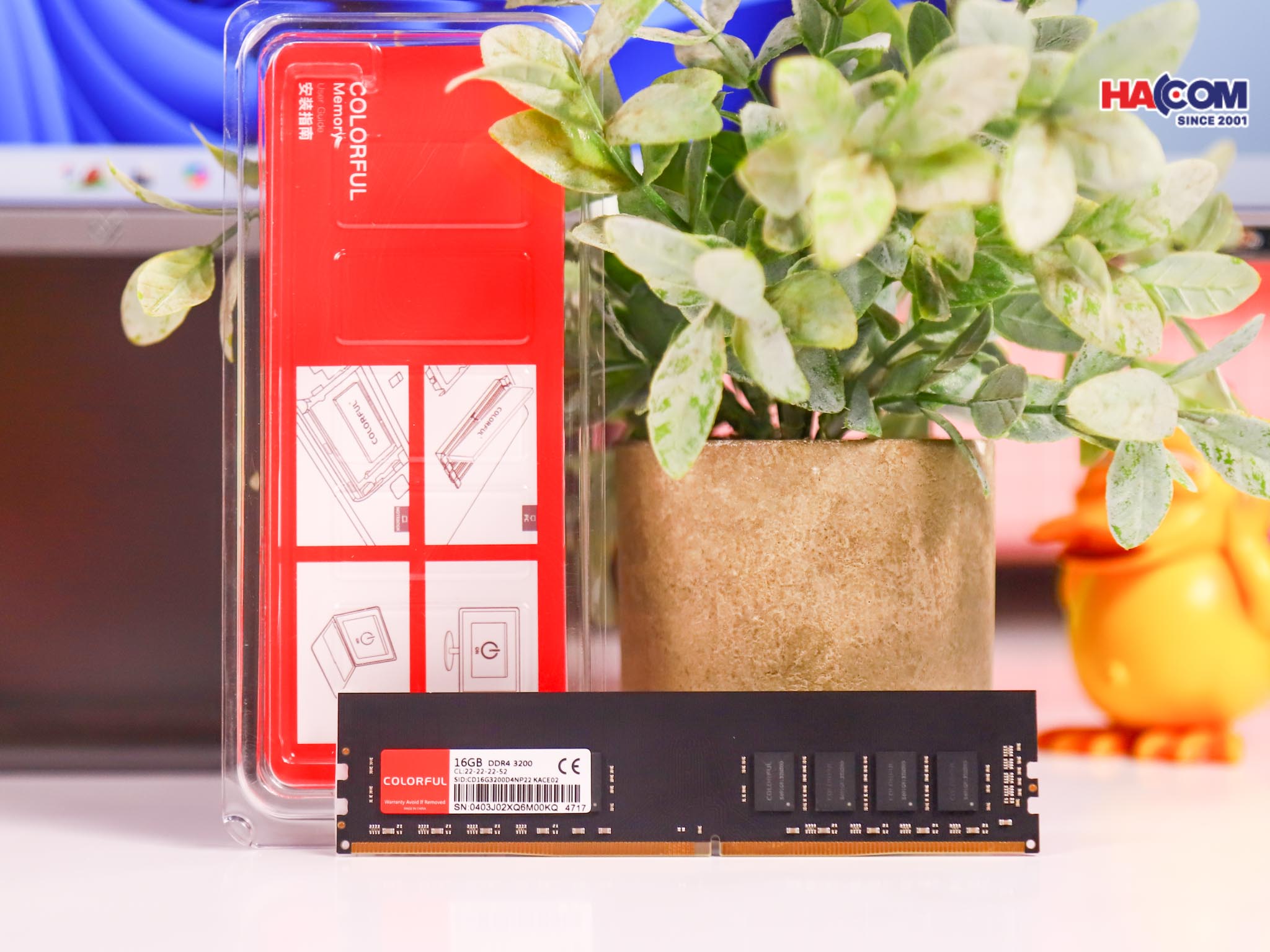 Development/20250813-a5cfa06f-49c5-40a3-8a3a-1d56db835327.jpg 2