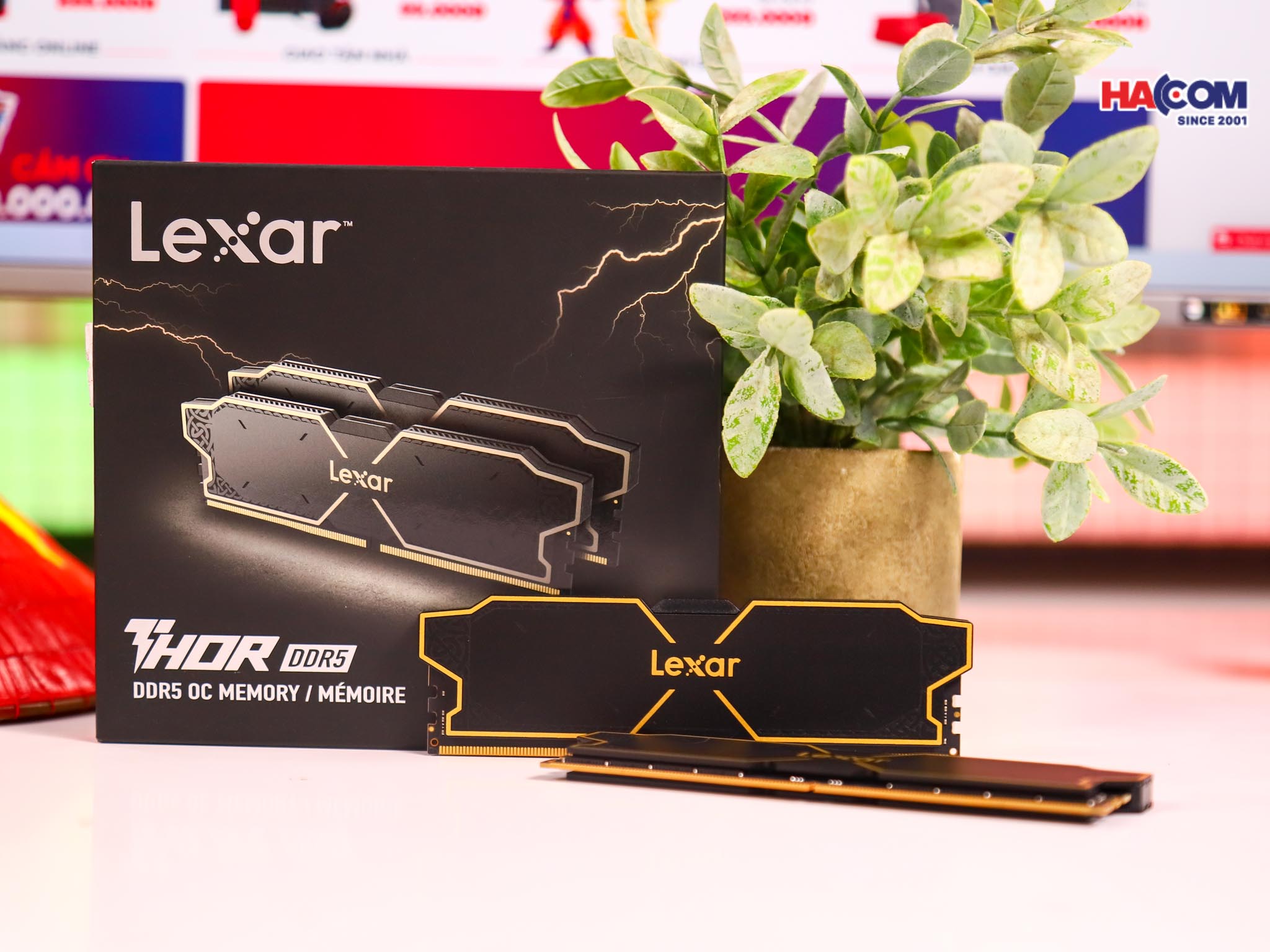 Ram Desktop Lexar Thor (LD5U16G56C36LG-RUD) 32GB (2x16GB) DDR5 5600Mhz 3