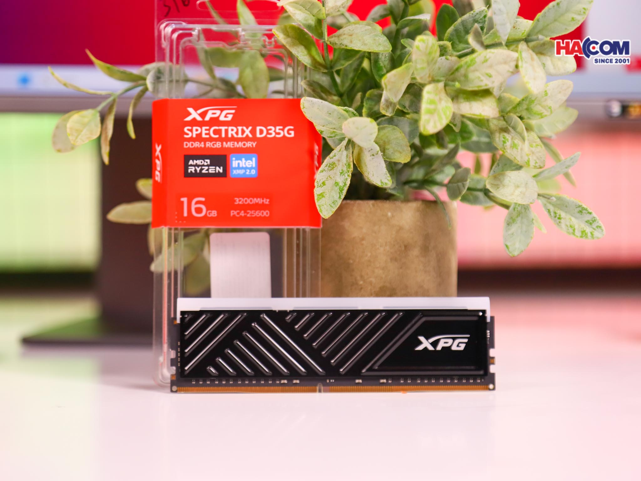 Development/20250813-e837c742-b7d0-4350-82e4-042f1039a99f.jpg 3