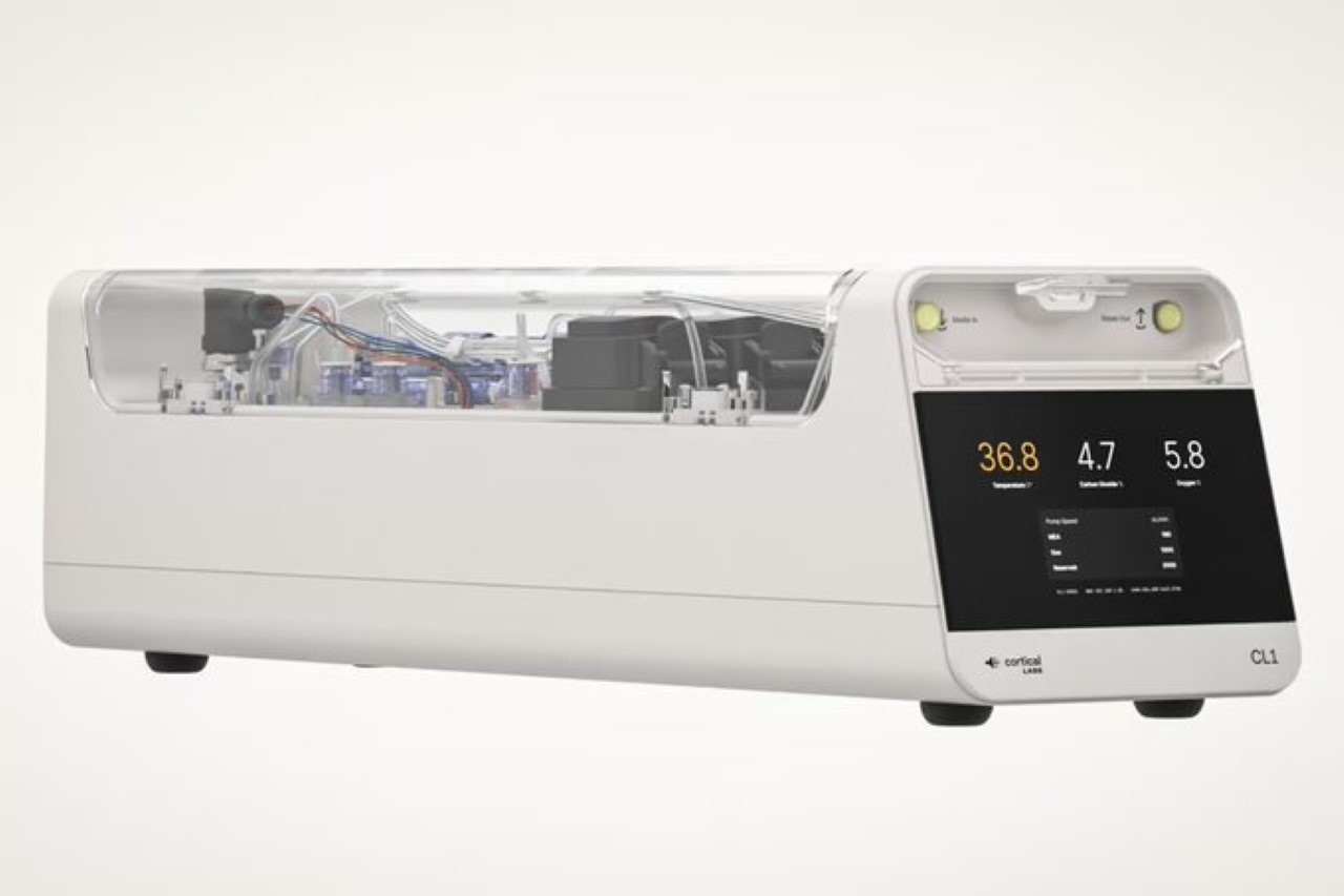  CL1 máy tính sinh học - Ảnh 5