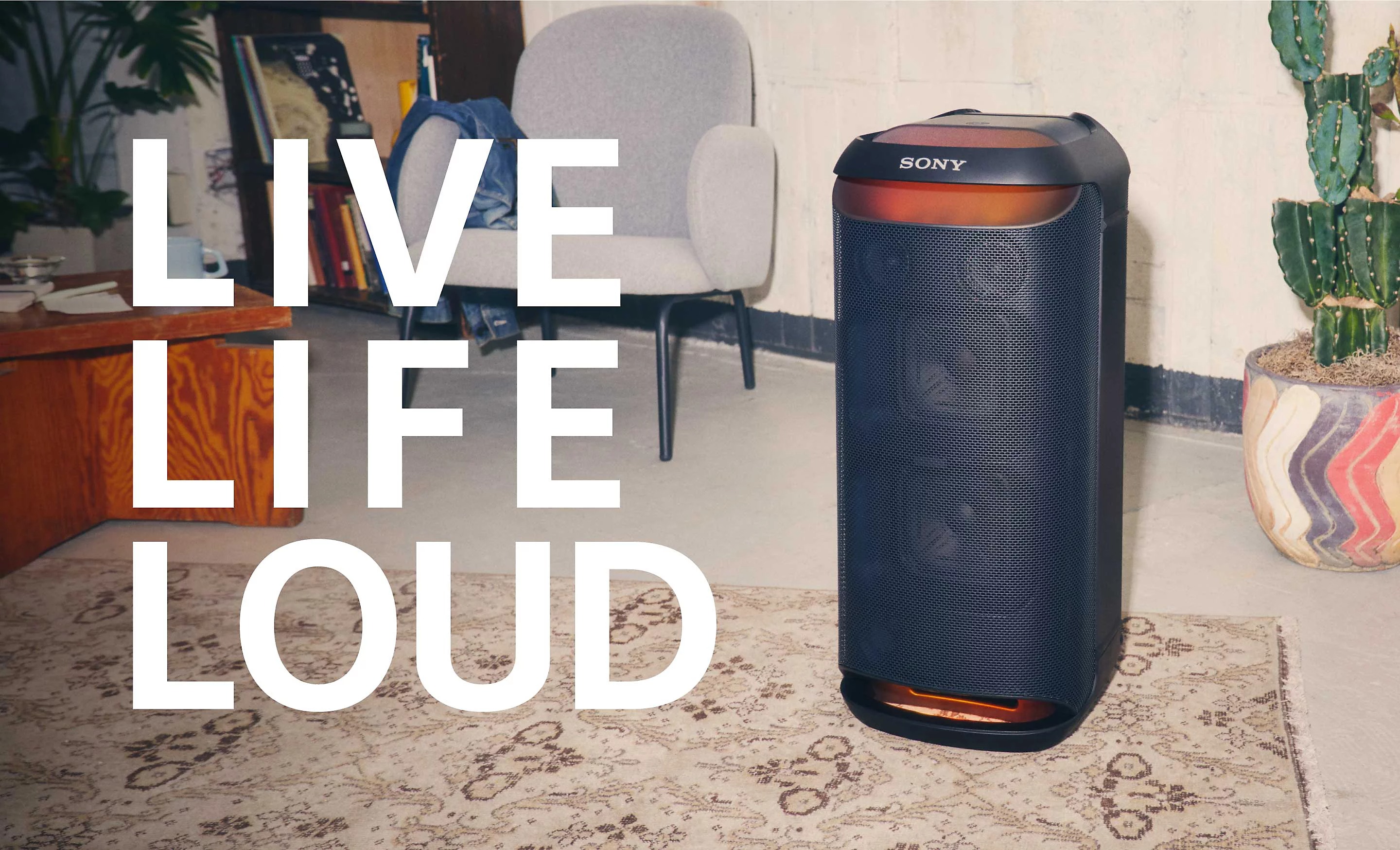 loa karaoke sony srs xv800 spso0143 11