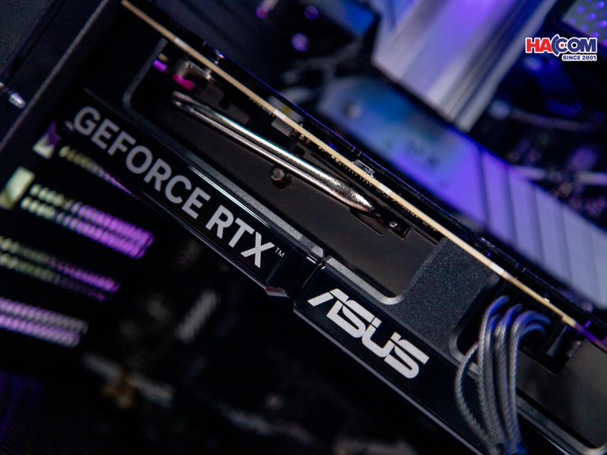 cdn/web/01112025/IMG_9924.jpg 2