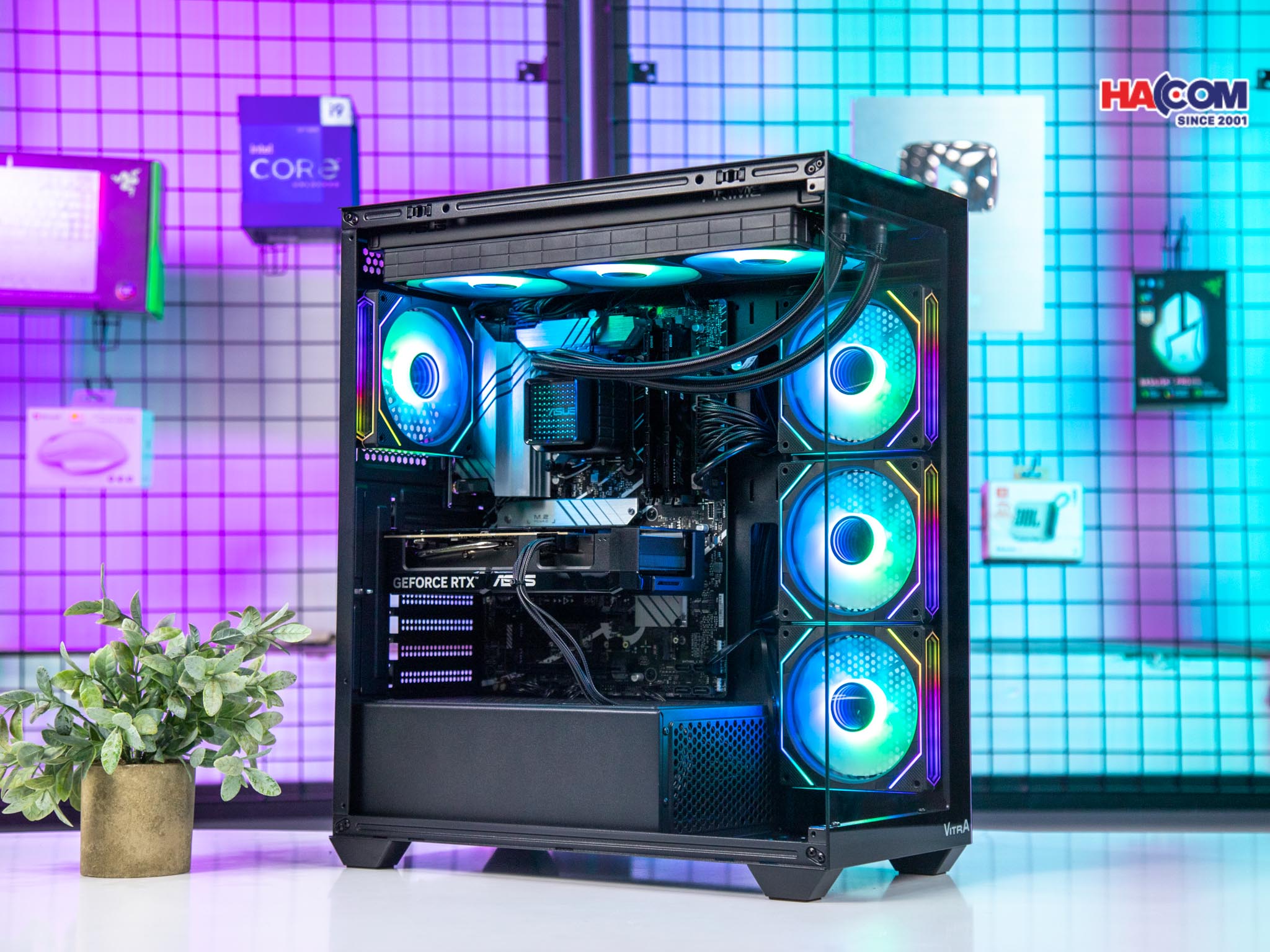 cdn/web/01112025/IMG_9925.jpg 3