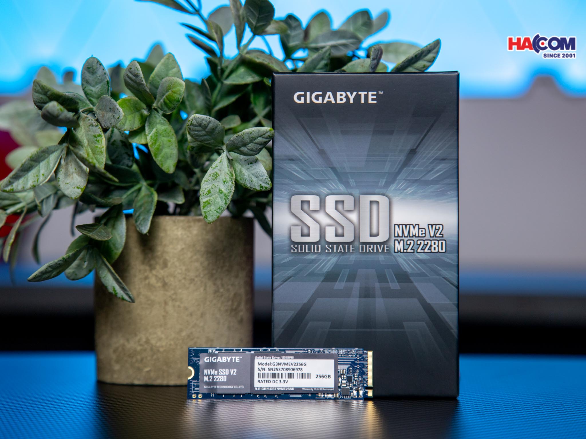 cdn/web/01122025/IMG_0848.jpg 4