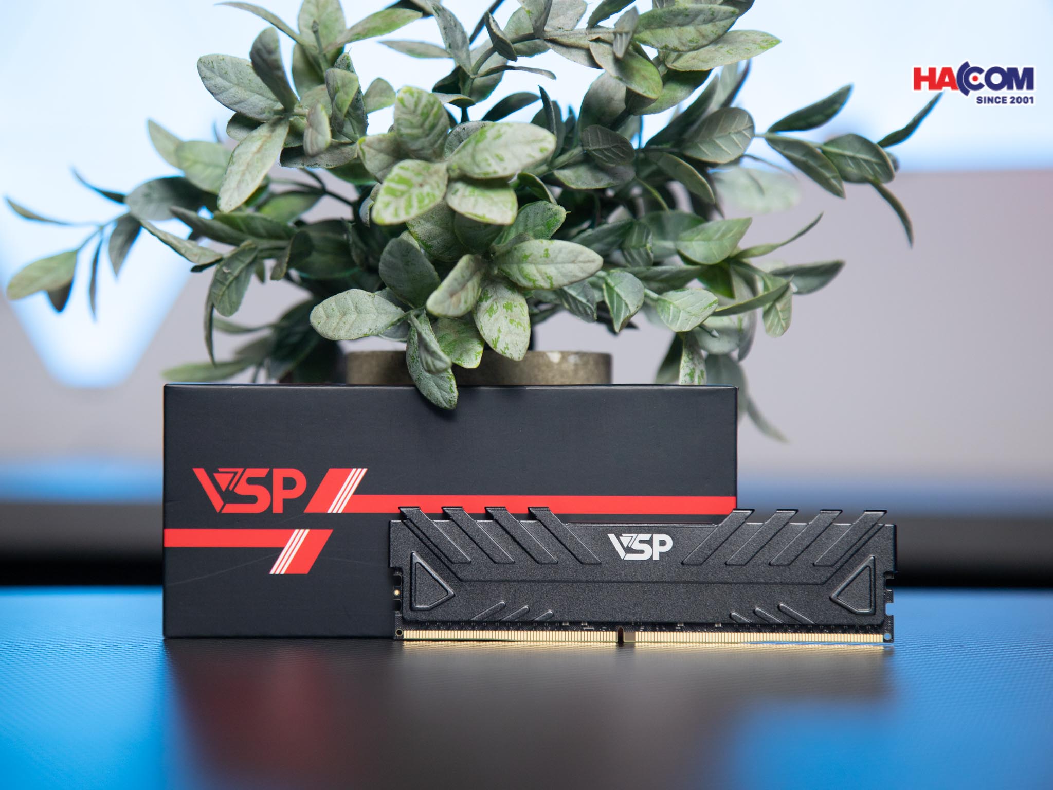 cdn/web/01122025/IMG_0864.jpg 4