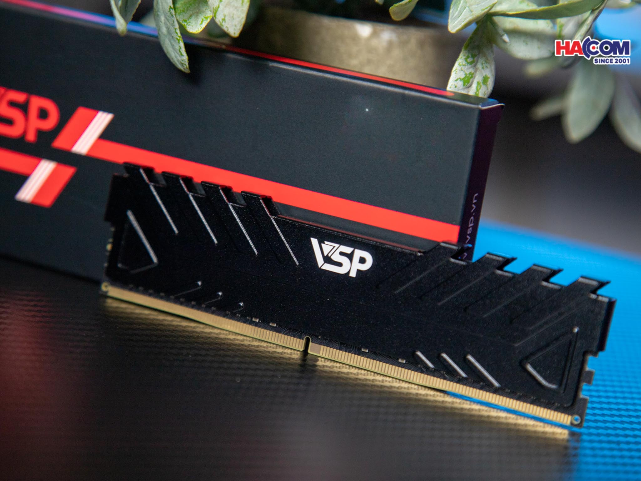 cdn/web/01122025/IMG_0865.jpg 5