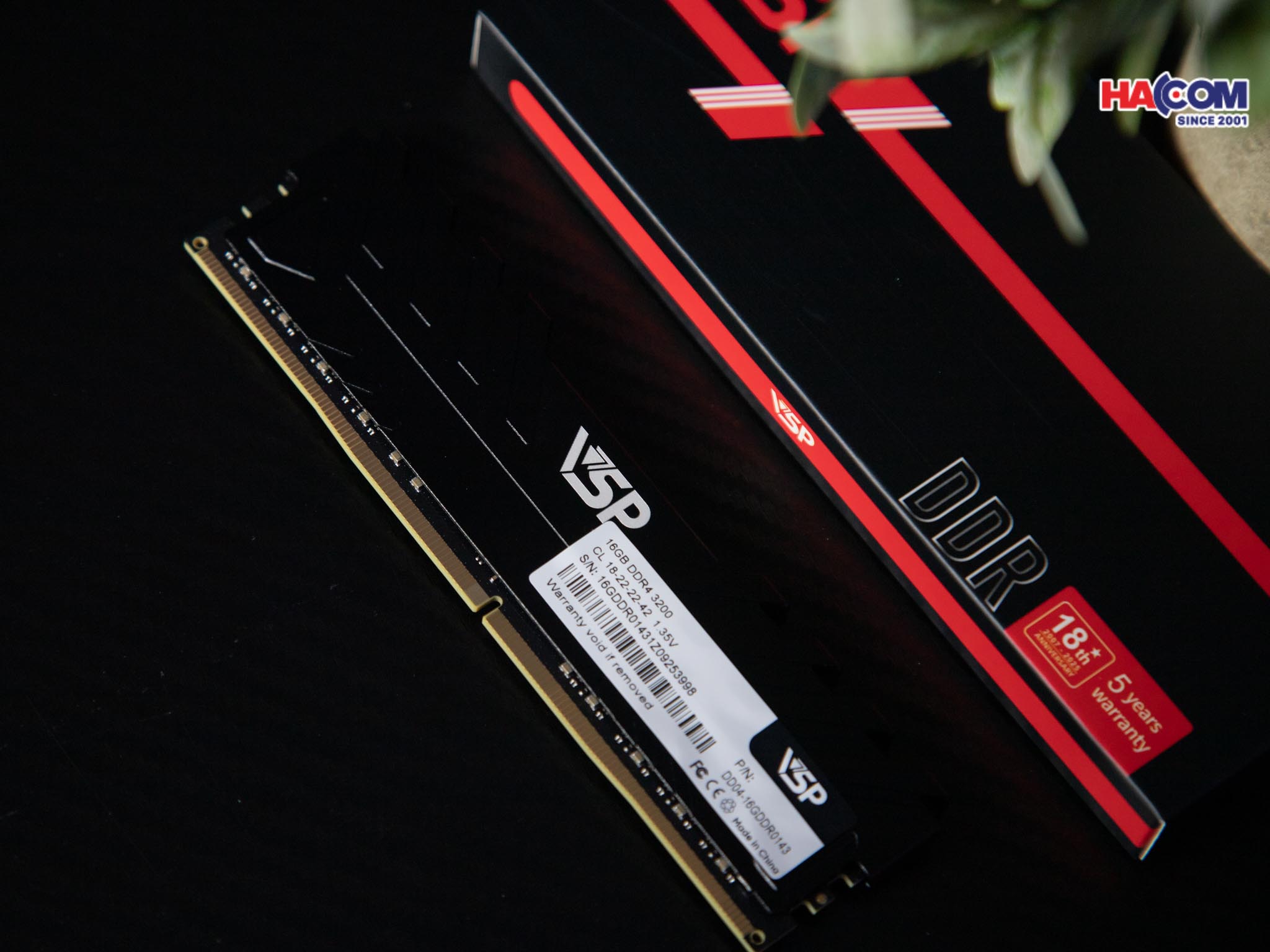 cdn/web/01122025/IMG_0866.jpg 6