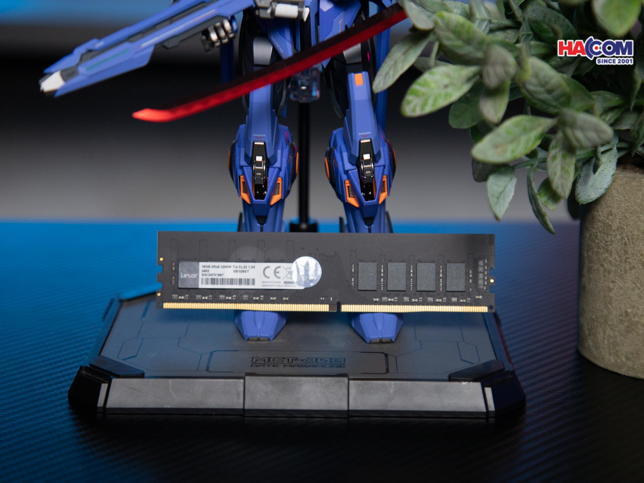 cdn/web/01122025/IMG_0876.jpg 3